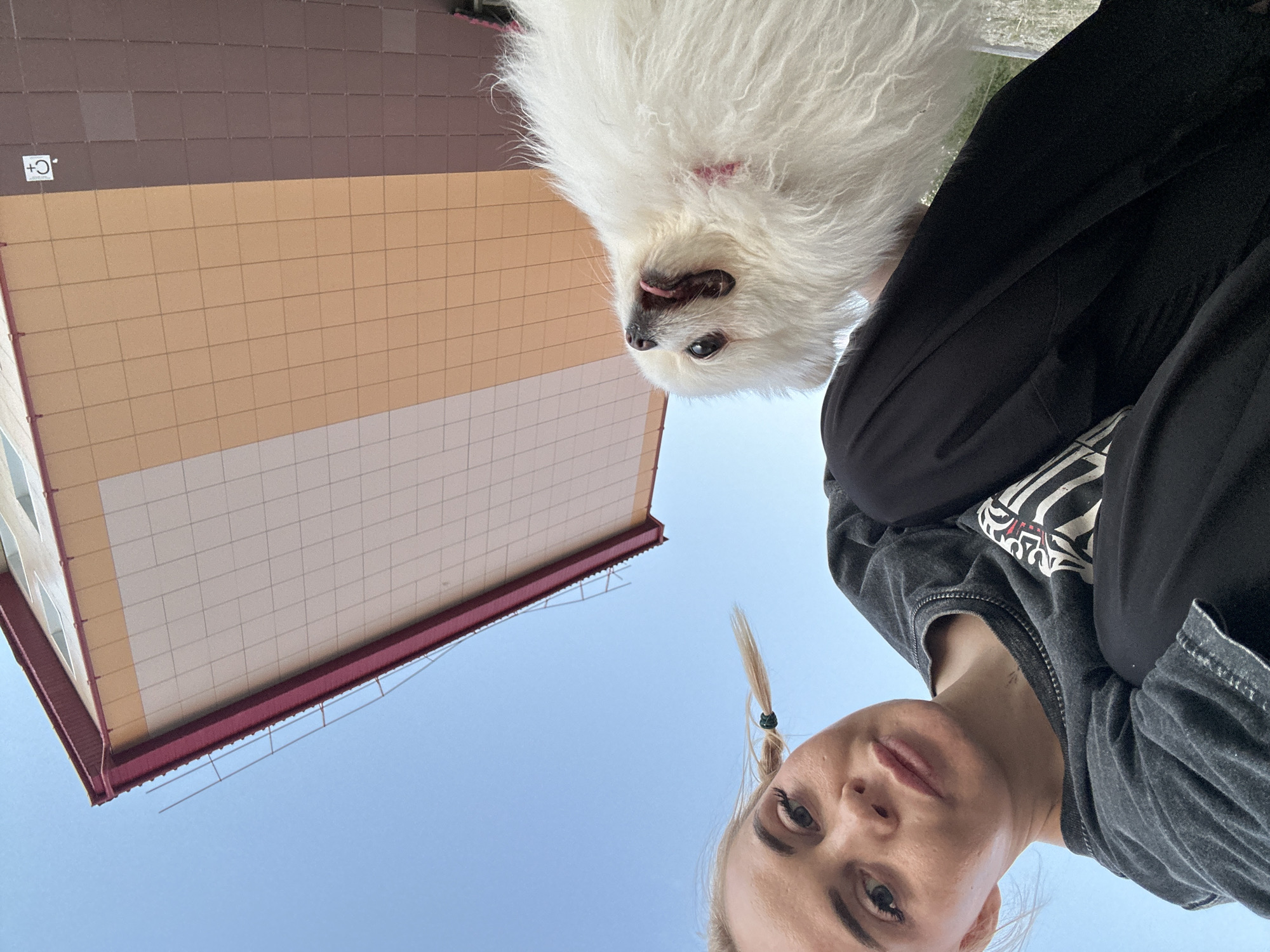 This upward-looking, low-angle shot, taken in Высокий, Russia, is rotated 90 degrees counter-clockwise. It features a person and a dog against a building and clear sky.
In the foreground, on the right side of the image, is a person, likely female, whose head and upper torso are visible. She has light hair styled in two small pigtails, visible on the left side of her head, and is wearing a dark (possibly grey or black) t-shirt with a lighter pattern. Her expression is neutral.
Beside the person, towards the upper right, is a fluffy white dog, resembling a Pomeranian, whose head is turned towards the camera. Its mouth is slightly open with its tongue visible, and a small pink collar is discernible under its fur.
The left side of the frame is dominated by a multi-story building. Its facade is covered in large, rectangular panels, with a lighter orange-brown color on the lower visible section and a darker brown on the upper part. A reddish-brown trim runs along the roofline, from which some metal railings extend. On one of the orange-brown panels, a white square logo containing a black "C" with a small "+" sign is visible. The rest of the background is a clear, bright blue sky, indicating daytime and fair weather. The scene suggests a casual outdoor moment with a pet.