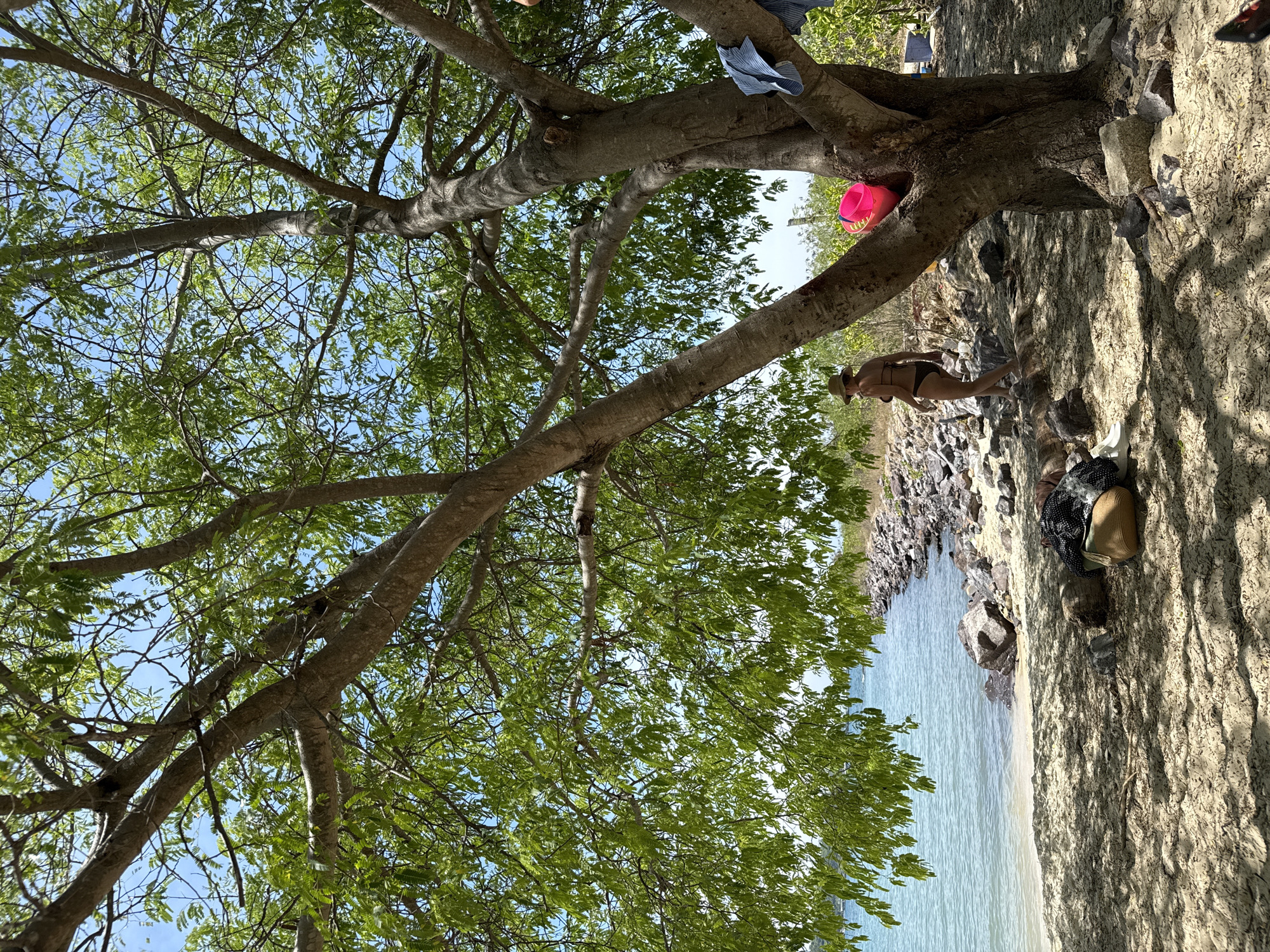 A woman in a bikini and hat walks along a sandy beach under the shade of a large tree. The ocean is to her left, with rocks and the shoreline beyond. Bags and clothing are scattered on the sand. The scene is set during the day under a clear blue sky, with the location being a beach in Nha Trang, Vietnam.