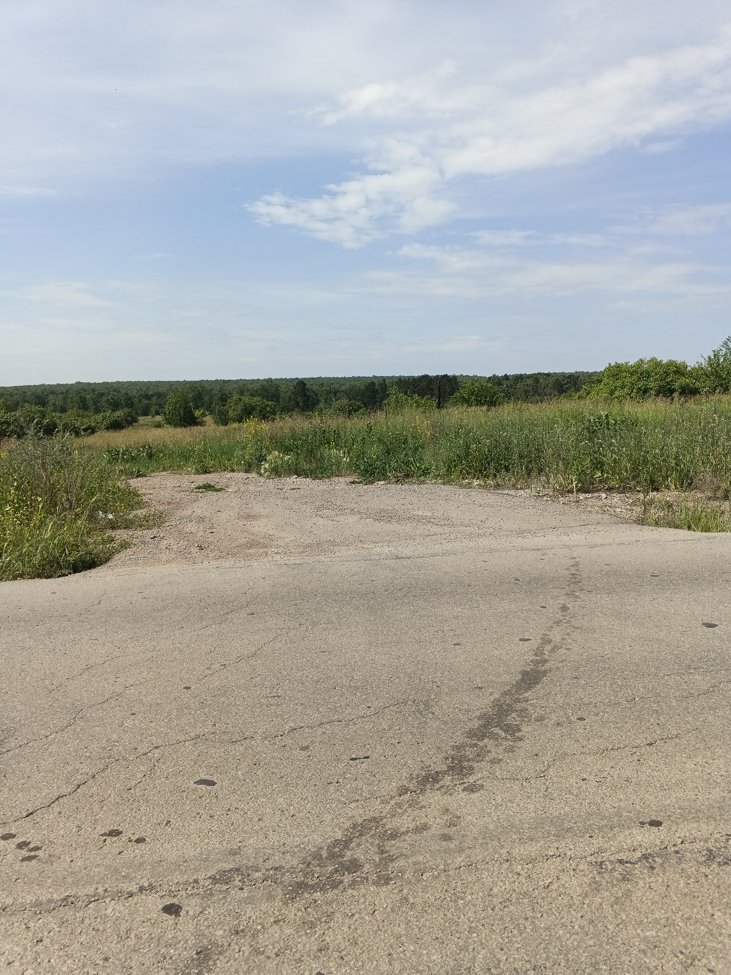 The image captures a rural landscape scene, likely on the outskirts of Cheremkhovo, Russia. In the foreground, a cracked asphalt road occupies the bottom half of the frame. The road surface is textured with small stones and shows evidence of wear and tear, including dark patches, possibly oil stains, and visible cracks forming a pattern. A light-colored, gravelly area branches off from the road to the left, transitioning into a dense field of green grass and wildflowers.
The midground is dominated by a lush expanse of tall grass and various plants, interspersed with scattered yellow wildflowers. Beyond this field, a dense line of trees forms a dark green horizon, suggesting a forest. The trees vary in height and density, with some taller, darker evergreens standing out against a backdrop of deciduous trees. The sky above is a pale blue, populated by scattered white clouds of varying sizes and shapes, with a few tiny dark specks that could be birds or insects. The overall impression is of a natural, undeveloped area under a partly cloudy sky. There are no people or animals visible in the scene.