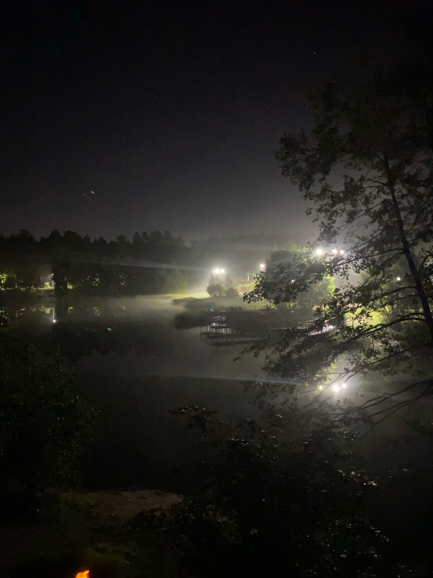 An atmospheric nighttime scene unfolds, dominated by a dark sky with a few faint stars and a hint of fog. In the middle ground, a body of water, likely a lake or river, is partially obscured by a thick, luminous fog that catches the light from several artificial sources. These lights, appearing as bright, diffused orbs, illuminate the mist and cast reflections on the water's surface.
Along the banks of the water, trees form a dark silhouette against the faintly lit environment. The trees in the foreground are dense and shadowy, with some branches and leaves visible in the lower right and left portions of the frame. On the far side of the water, more trees and vegetation create a continuous dark line.
A wooden pier or dock structure extends into the water from the right bank, and its details are softened by the fog. Several streetlights or lamps are visible, dotting the landscape and contributing to the ethereal glow. The overall impression is one of quiet and slightly mysterious beauty, characteristic of a foggy night by a body of water.
The image does not contain any discernible signs of human presence or activity beyond the artificial lighting. The specific location in Zarechny, Russia, cannot be determined from the visual information provided.