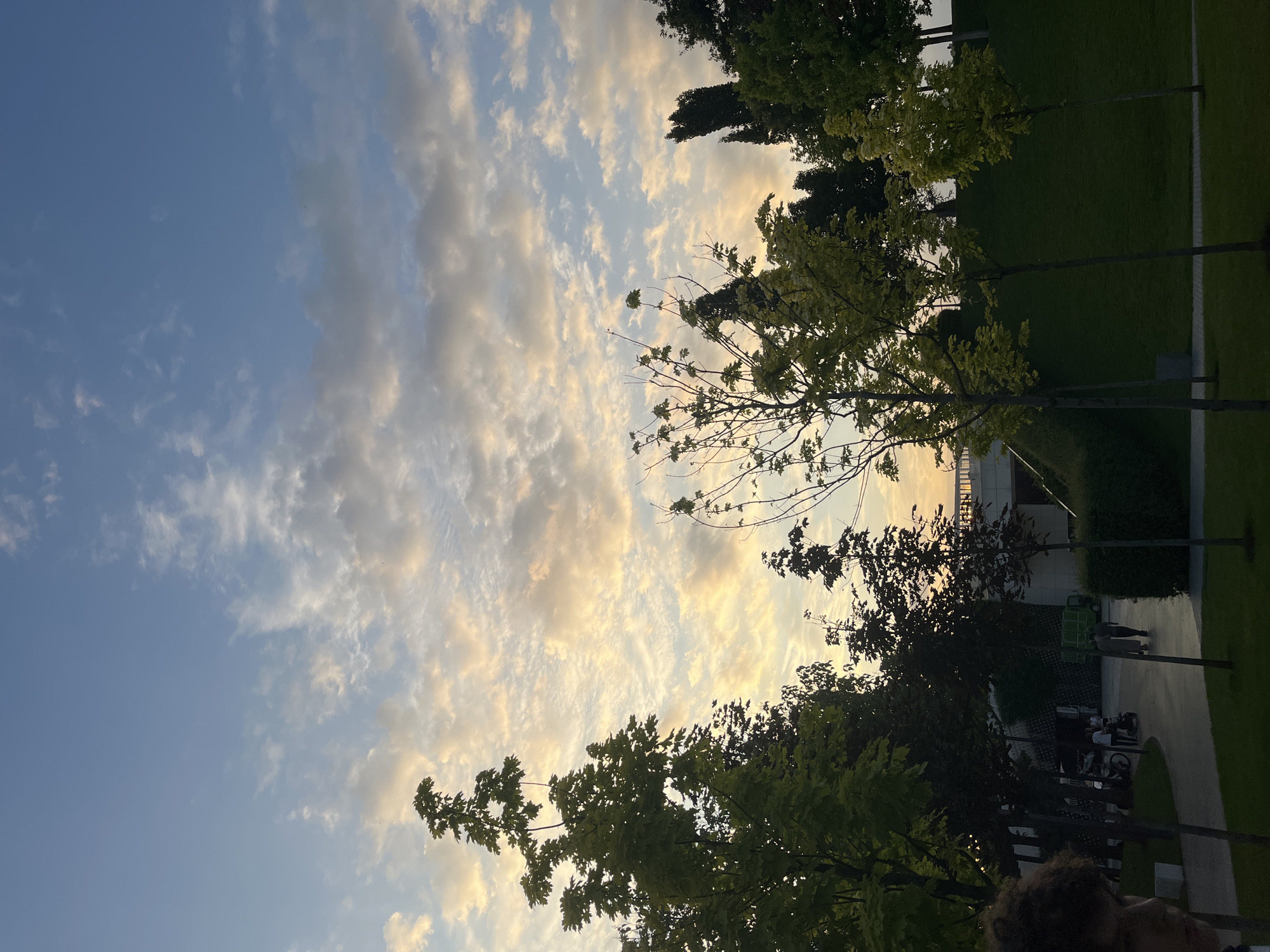 The image depicts a sunset scene in a park, likely located in Krasnodar, Russia, given the context provided. The sky is a blend of blue and orange hues, with scattered clouds catching the last rays of sunlight. In the foreground, several trees with lush green foliage are visible, silhouetted against the illuminated sky.
To the left, a portion of a person's face, with curly hair, is captured in the frame, suggesting their presence as a visitor to the park. Further into the scene, a paved pathway winds through the park, with a few individuals walking or strolling. A stroller is also present, indicating the presence of a family. In the background, a modern-looking building with distinctive architecture is partially visible, possibly a cultural center or a museum, and a green truck is parked nearby. The park itself features well-maintained green lawns and trees, characteristic of urban recreational spaces. The overall atmosphere suggests a peaceful evening in a public park.