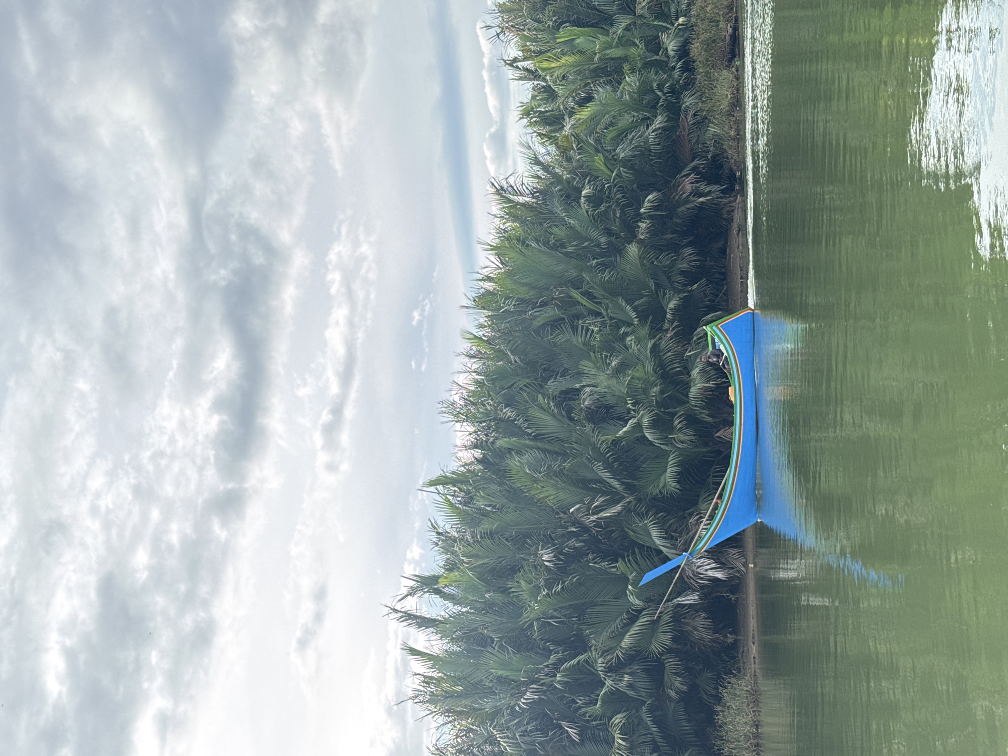 A bright blue wooden boat with yellow and green trim is moving from right to left on a wide, calm river. The boat has a pointed bow decorated with a blue flag-like piece of wood. A person is visible in the boat, sitting towards the left side. The river reflects the boat and the lush green foliage that lines the bank. The foliage consists of dense, palm-like trees with large, arching fronds. The sky above is overcast with light gray and white clouds. The location is the city of Reudeuep, Indonesia.