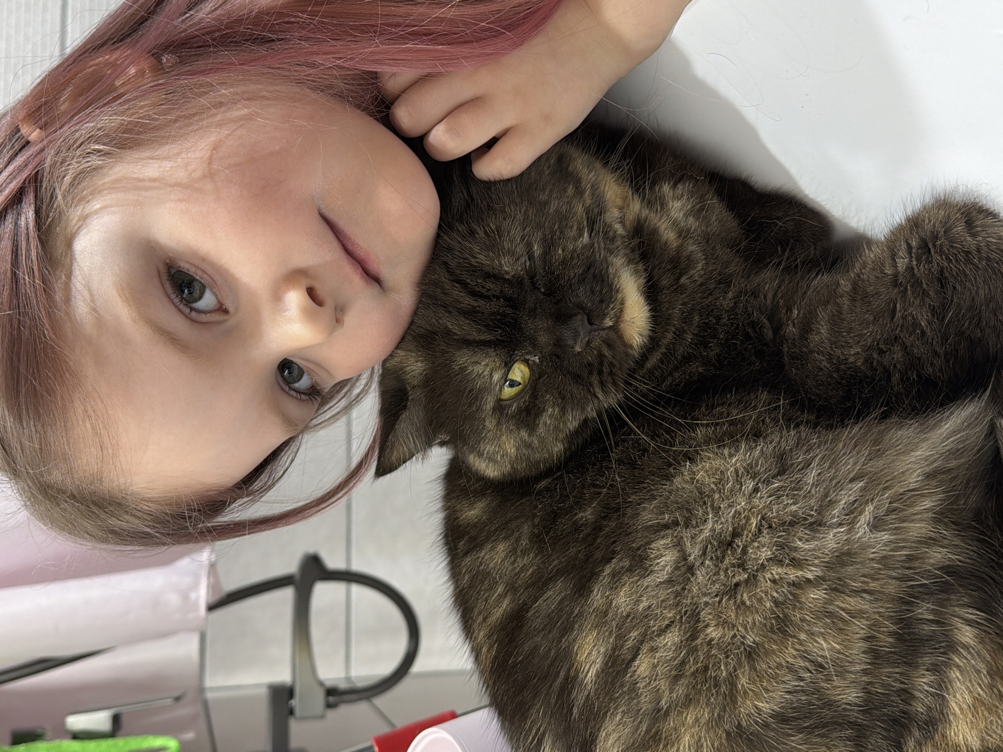The image, oriented with the child's head at the top-left and the cat at the bottom-right, captures a tender moment between a young child and a domestic cat. The child, likely a girl, has fair skin, light-colored eyes (appearing greenish-grey), and reddish-brown hair with possible pink undertones. She is resting her head close to or on the cat, with her left hand visible near the cat's head. Her gaze is directed towards the viewer, and her expression is calm and gentle.
The cat is a short-haired feline, likely a tortoiseshell or dilute calico, characterized by its mottled fur in shades of dark brown, grey, and lighter tan or golden patches. It has striking yellow-green eyes that are partially visible, looking softly towards the child. Both subjects appear relaxed and comfortable in each other's presence, suggesting a moment of quiet affection or rest.
They are situated on a clean, bright white surface, possibly a table or countertop. The background is softly blurred, showing indistinct shapes of indoor furniture or objects, including a dark, semi-circular frame that might be part of a chair. The lighting is bright and even, indicating a well-lit indoor environment, presumably during the day. There is no visible text. The overall scene conveys a sense of peace and companionship, illustrating the bond between the child and her pet in an indoor setting, likely a home in Chaikovsky, Russia.