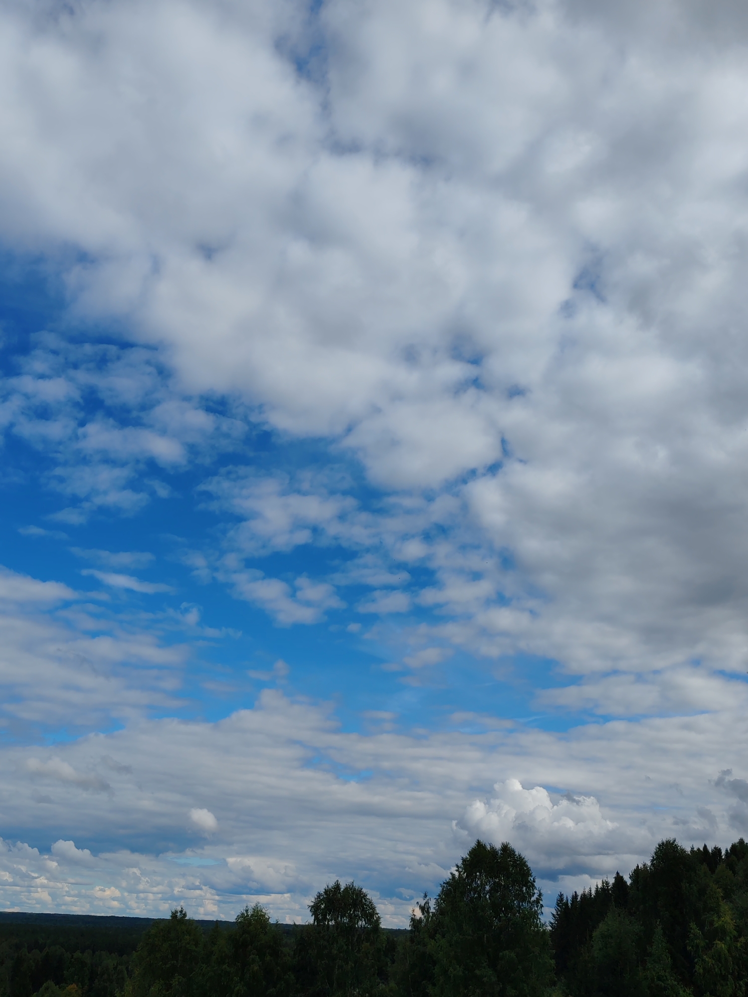 The image depicts a vast sky filled with a mix of white and gray clouds, interspersed with patches of bright blue. The lower portion of the image reveals a dense, dark green forest canopy, characteristic of the natural landscape found in and around Чухлэм, Russia. The trees are lush and varied in height, with some taller, more prominent specimens dotting the horizon. The scene appears to be a wide, natural view, with no visible structures or human activity.