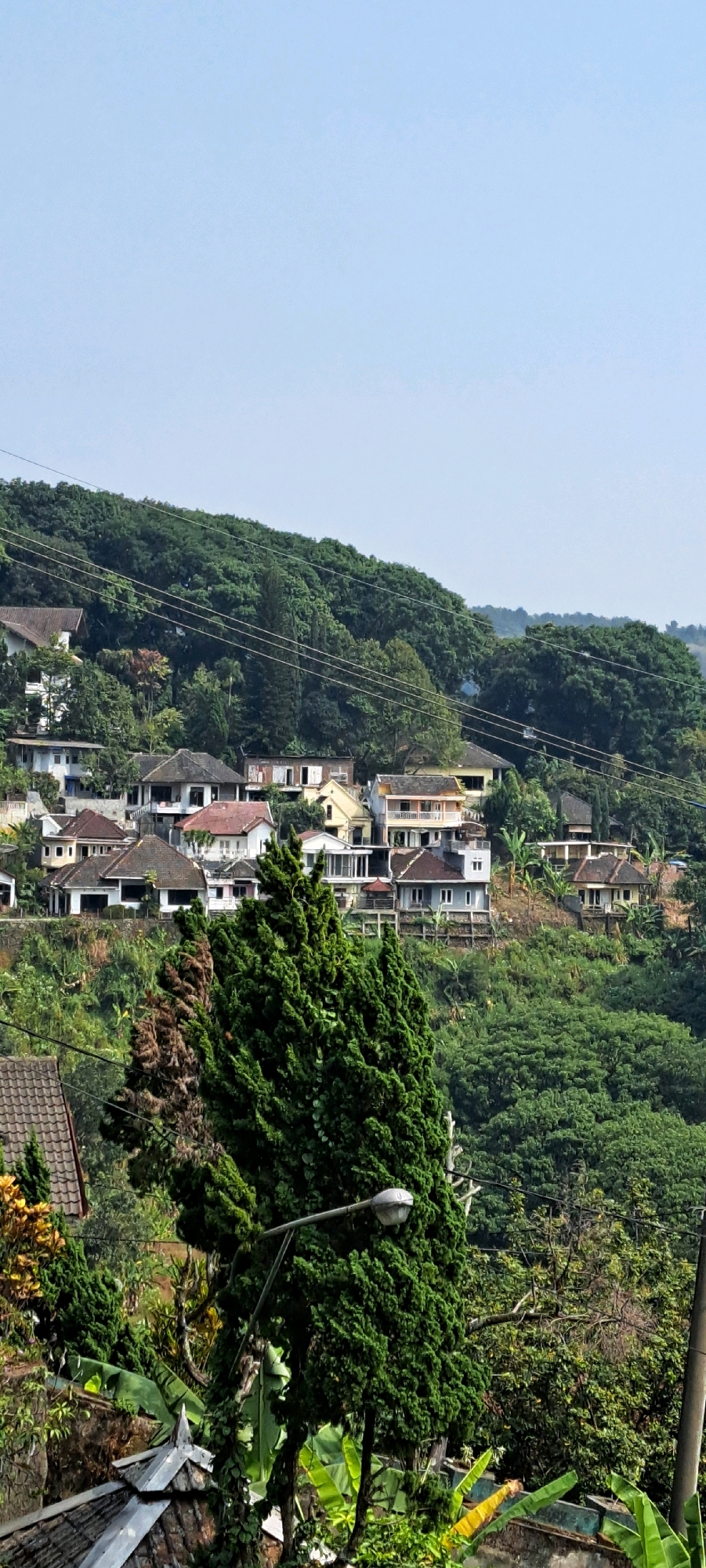 The image depicts a residential area nestled on a lush, green hillside in Prigen, Indonesia. The landscape is characterized by densely wooded slopes dotted with various houses. The houses are of varying architectural styles and sizes, with some appearing to be older and others more modern. Many of them are multi-story structures with visible windows and roofs, indicative of a densely populated settlement.
A prominent feature in the foreground is a tall, conical evergreen tree, which takes up a significant portion of the lower left side of the frame. A street lamp with a curved arm extends from a pole to the right of this tree, positioned to illuminate the area. Below the evergreen tree, parts of a tiled roof and a stone wall are visible, suggesting the presence of other structures or garden elements.
The hillside is extensively covered with trees and vegetation, creating a verdant backdrop. Several power lines or cables traverse the hillside, suggesting that electricity is supplied to the homes. The sky above is a clear, pale blue, indicating fair weather. The overall impression is of a tranquil, somewhat secluded community situated within a natural, hilly environment. There are no people visible in the image, and the scene appears to be a static landscape view.