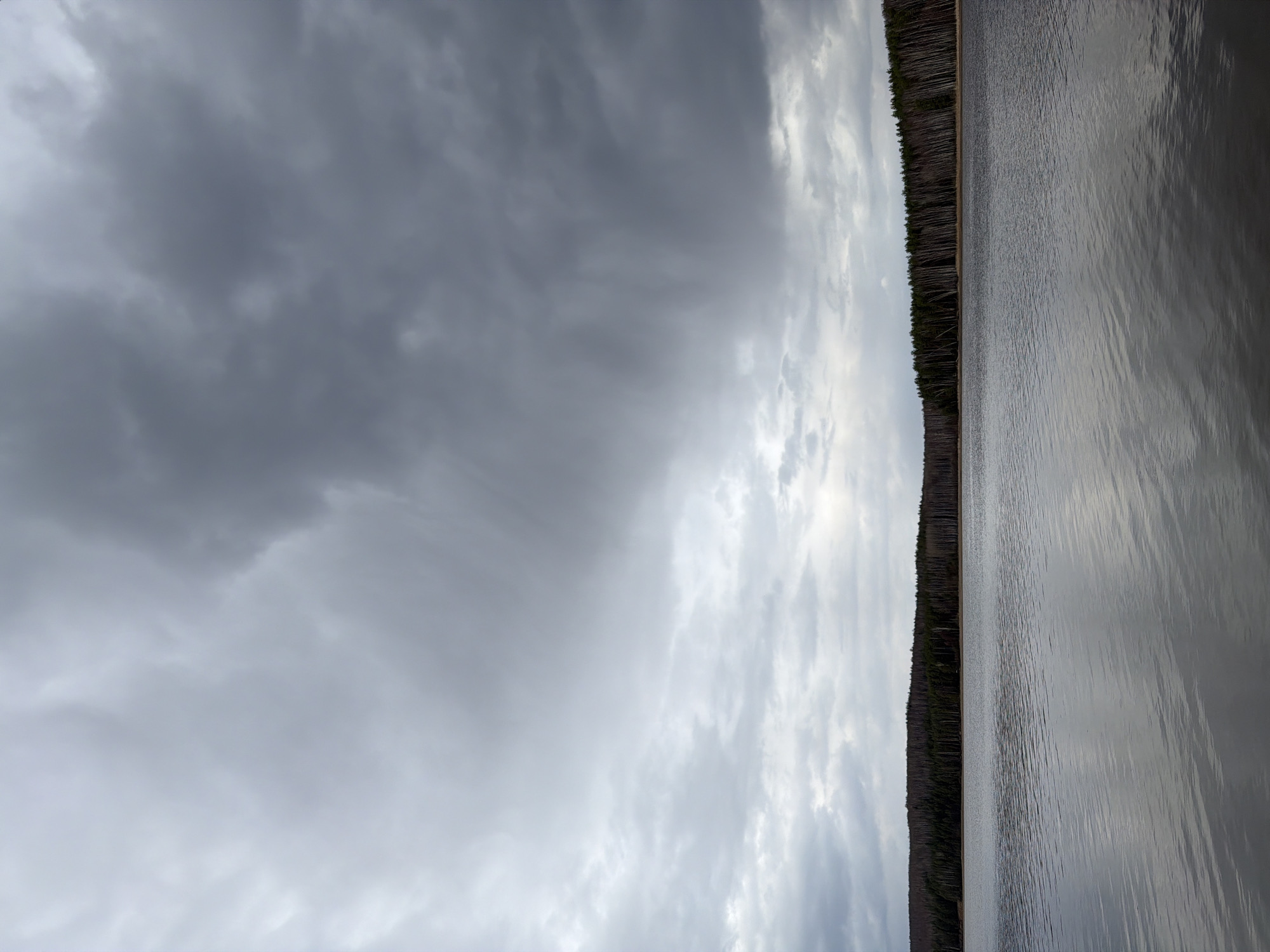 The image depicts a body of water with a forested shoreline under a cloudy sky. The sky is predominantly gray, suggesting overcast conditions. A strip of trees lines the water's edge, appearing dark against the gray sky and water. The water itself reflects the sky's gray tones, creating a somber and muted color palette. The image is taken in a horizontal format. The location is the city of Chaikovsky, Russia. No people or subjects are visible. The objects present are water, trees, and clouds. There are no actions or interactions visible in this static image.