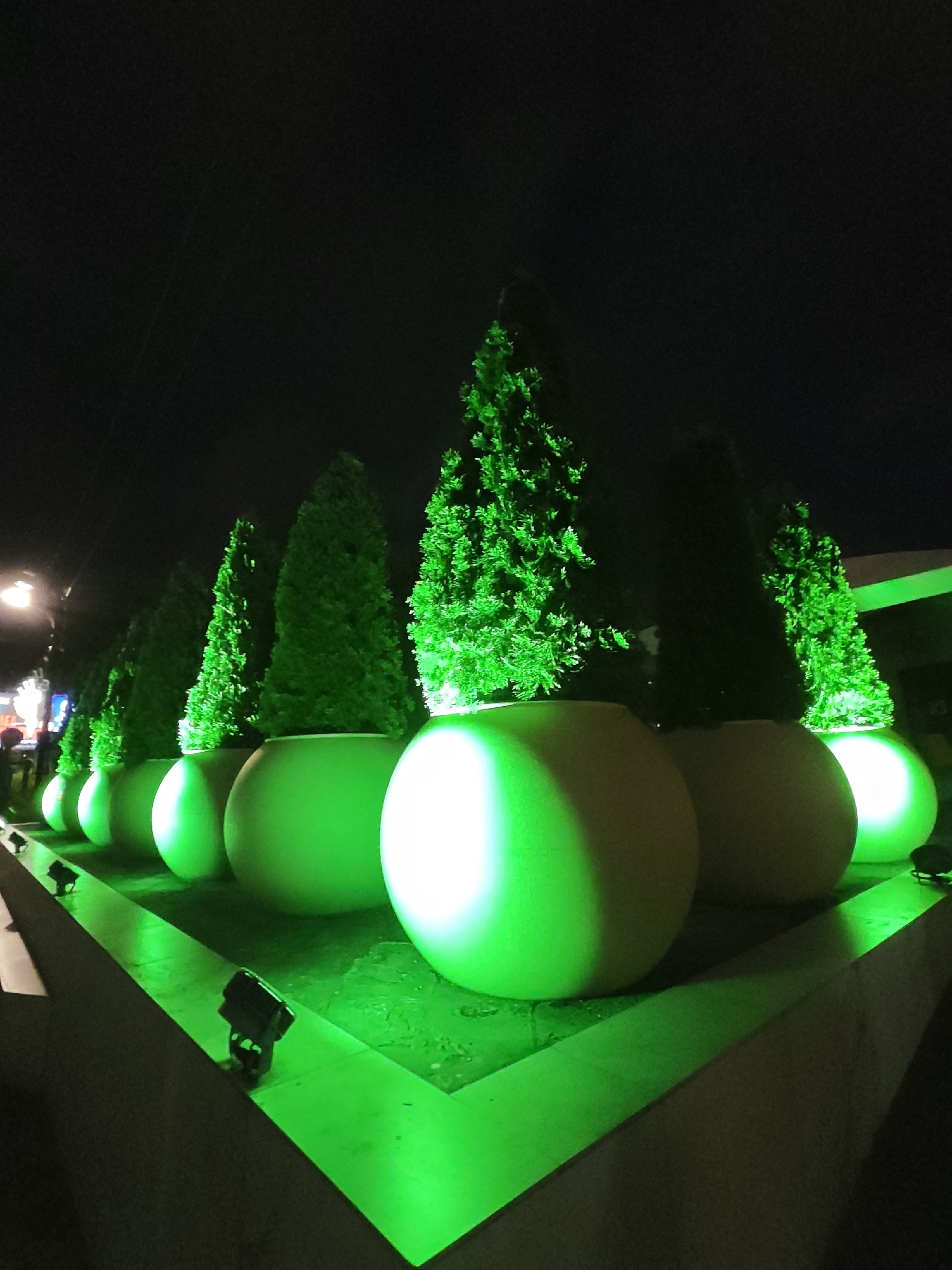 At night, a row of spherical, beige-colored planters containing conical green trees is illuminated with green and white lights. The planters are set on a raised platform. Small, black spotlights are positioned on the platform, emitting green light. The background is dark, suggesting night, and a few faint lights from distant structures are visible. The location is Sochi, Russia.
