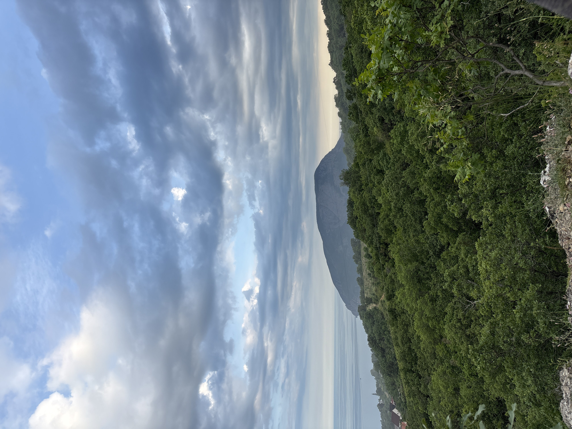 The image displays a panoramic landscape captured from an elevated perspective, overlooking a coastline and a large body of water, identified within the region of Kiparisnoe, Ukraine.
The upper approximately 45% of the frame consists of a predominantly overcast sky. Layered cumulus and stratocumulus clouds, varying in tone from light grey to a darker slate blue-grey, dominate the expanse. Patches of lighter, clearer blue sky are visible, particularly in the upper left and center-right portions, where brighter white highlights on the clouds suggest diffused sunlight.
A distinct horizon line separates the sky from a calm, expansive body of water, likely the Black Sea, which occupies the mid-ground. The water's surface is smooth, reflecting the muted tones of the sky. Towards the far horizon on the right, a faint, lighter band suggests either distant haze or the soft glow of a low sun breaking through.
A prominent, rounded mountain, consistent with the appearance of Ayudag (Bear Mountain), rises directly from the water on the right side of the mid-ground, extending towards the center of the frame. Its slopes appear verdant with dense vegetation from this distance. To the left of the mountain, along the immediate coastline, a narrow strip of land is visible, featuring at least two residential structures with distinct red or orange-tiled roofs nestled among trees. A faint, winding dirt path or track is discernible on the hillside leading down towards these structures.
The lower half to two-thirds of the image is densely covered with lush, verdant deciduous trees and shrubs, indicative of a forest or extensive woodland. The foliage in the immediate foreground is highly detailed, showcasing individual leaves and branches of various plants and small trees. A particularly slender tree with light green leaves stands prominently on the right side of the foreground. The ground immediately beneath the viewpoint is rocky and sparsely vegetated with grasses and small herbaceous plants. Thin, dark linear elements, resembling power lines, traverse the middle ground horizontally in two visible strands.
No human or animal figures are present or discernibly active within the frame. The overall lighting is soft and diffused, characteristic of an overcast day.