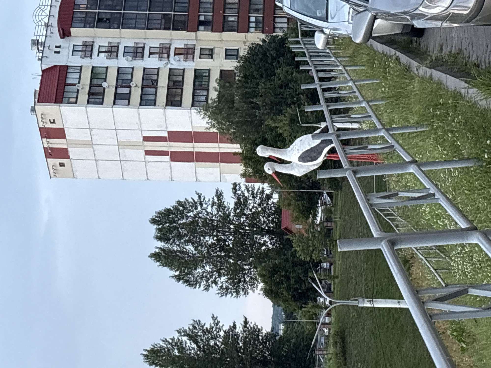 The image captures a section of a public area, likely a sidewalk or park pathway, in Vitsebsk, Belarus. A metal railing runs horizontally across the foreground, separating the pathway from a grassy embankment. Perched on the railing are two decorative stork figures, painted white with black wings and red legs.
In the background, a tall, multi-story apartment building dominates the scene. The building features a distinctive pattern of alternating white and red vertical stripes on its facade, with multiple windows and balconies visible. To the left of the building, a cluster of mature trees with dense foliage adds a natural element to the urban landscape.
A portion of a silver car is visible on the right side of the image, parked alongside the pathway. The sky above is overcast, suggesting a cloudy day. The overall scene depicts a common urban environment with a mix of residential architecture, green spaces, and public amenities.