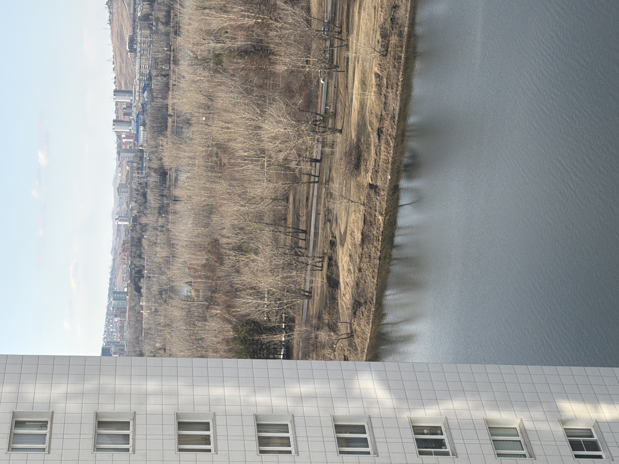 The image presents a panoramic view of a riverside urban landscape, likely in Krasnoyarsk, Russia, during what appears to be late winter or early spring.
In the immediate foreground, the upper portion of a modern building with a distinctive white, grid-patterned facade is visible. Several rectangular windows are evenly spaced across its surface.
Beyond this structure, a wide river dominates the midground. Its surface is a calm, steely gray-blue, reflecting the sky and showing subtle ripples. The opposite bank of the river is sparsely vegetated with dry, light brown grass and numerous bare deciduous trees, their branches creating a dense, intricate pattern. A path or road is discernible running parallel to the river through these trees.
In the background, behind the river and its banks, a city skyline stretches across the horizon. Various buildings, including multi-story residential or commercial structures, are clustered, indicating an urban settlement. Further in the distance, low hills or mountains complete the scenic backdrop. The sky above is a pale, clear blue with a few faint, wispy clouds.
The scene depicts a quiet, expansive landscape with no people or specific activities taking place. The bare trees and dry vegetation suggest a season before the full bloom of spring. There is no visible text in the image.