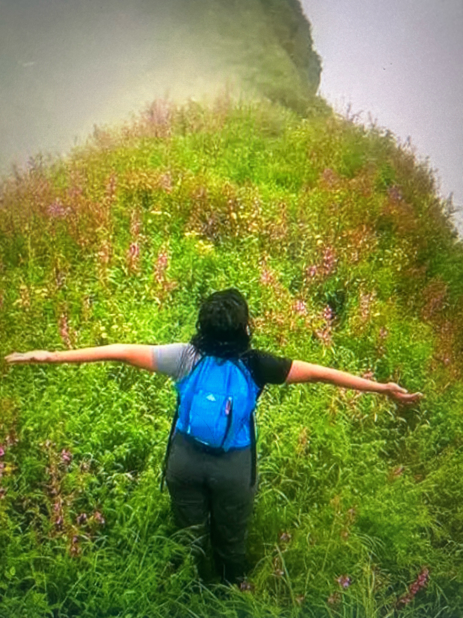 The image shows a person standing on a grassy hillside, with their arms outstretched to the sides. The person is wearing a black shirt, grey sleeves, dark pants, and a blue backpack. The hillside is covered in lush green grass and dotted with small purple flowers. In the background, there is a misty, grey sky and the vague outline of a hill. The scene appears to be a natural outdoor environment, possibly a hiking trail or a scenic viewpoint. The image does not contain any specific visual cues that would allow for precise identification of its location within Kathmandu Metropolitan City, Nepal.