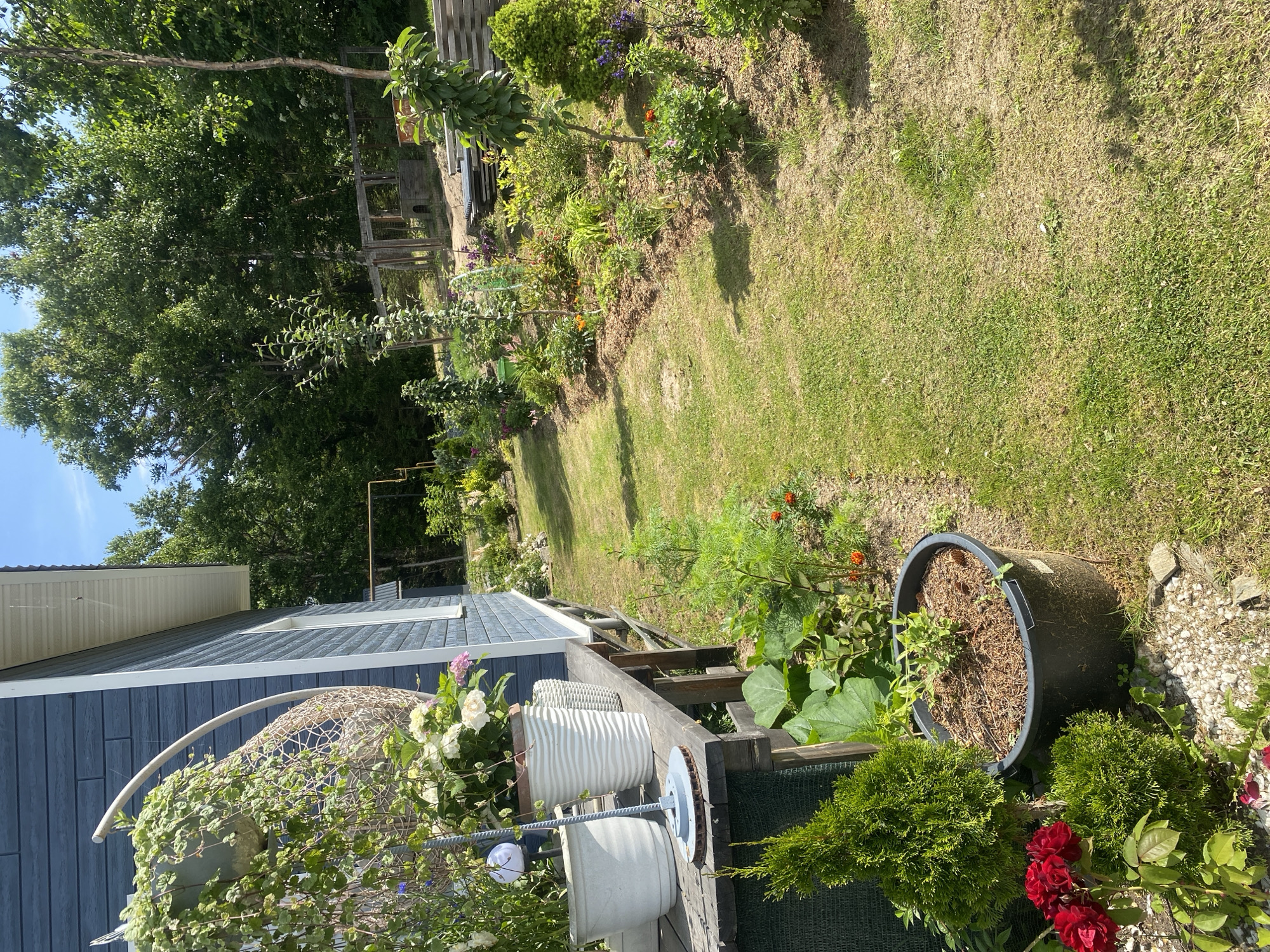 The image shows a side yard of a blue wooden house in Tret'ya Pad', Russia. The yard is well-maintained with a variety of plants and flowers. A gravel path leads from the house towards a wooded area in the background. The house has a porch with several potted plants, including a large white planter with hydrangeas and a hanging basket filled with ivy. A large dark gray pot sits on the lawn, planted with a small green bush. Red roses are blooming near the bottom left corner of the image. The sky is blue with scattered clouds. The overall scene depicts a peaceful and pleasant outdoor setting.