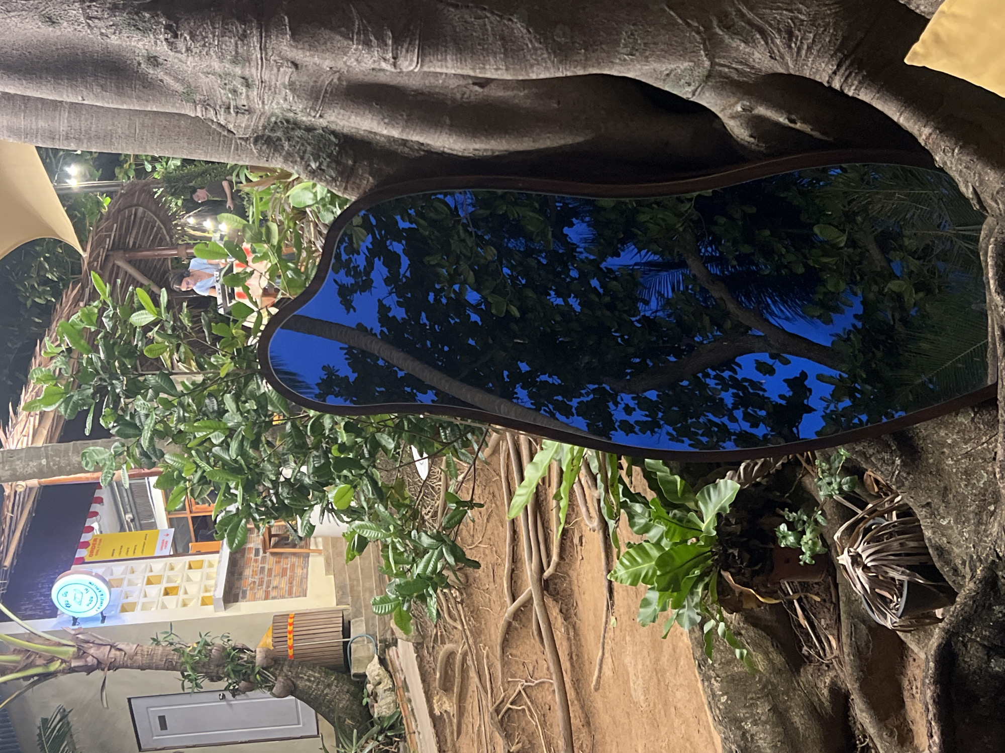 This media file depicts a somewhat abstract view of a tree and its surroundings, possibly a tropical location given the lush greenery. The dominant elements are the rough, textured bark of a large tree, its branches and exposed roots creating an organic, almost sculptural framework.
A prominent, irregularly shaped mirror is attached to the tree, reflecting a deep blue sky with silhouetted dark green foliage. The reflection suggests palm fronds and other leafy trees, hinting at a warm, possibly humid climate and a clear evening or night sky.
Below the mirror and to the left, a building with light-colored walls and some decorative elements is visible. This building appears to be part of a commercial establishment, with signs suggesting it might be a cafe or shop. One sign is a bright yellow rectangular board with text that is partially obscured but appears to be an advertisement or menu. Another sign is a round, illuminated blue sign with white text and graphics. The building has windows and a thatched roof structure, further reinforcing the idea of a tropical setting.
In the background, amidst the foliage and the structure of the building, a few indistinct figures can be seen. One individual appears to be wearing a light blue shirt and is partially obscured by leaves, while another figure in dark clothing is visible further back. Their presence suggests that this is a public space, perhaps a restaurant or a gathering area.
The overall impression is one of nature intertwined with human habitation. The time of day is difficult to pinpoint precisely due to the lighting and the mirror's reflection, but the dark blue sky in the reflection suggests it is either late evening or early morning. The atmosphere feels relaxed and somewhat bohemian, with the organic form of the tree providing a unique backdrop for the man-made elements. There are no obvious cues about the weather, but the dense foliage implies a climate where plants thrive.