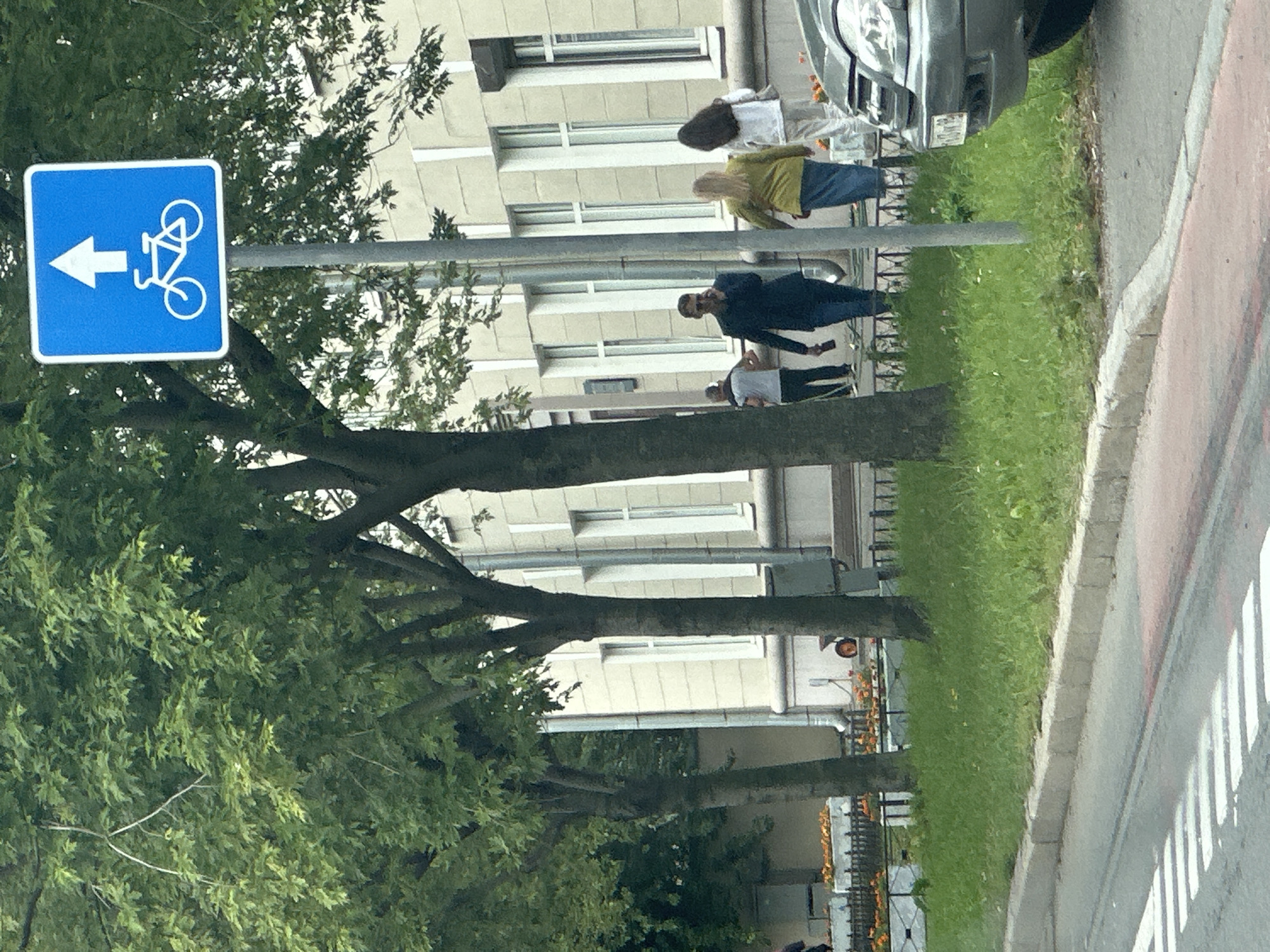 The image shows a street scene in Saint Petersburg, Russia. In the foreground, a pedestrian crossing is visible on the asphalt road. To the right, the front right corner of a grey car is parked, with its license plate partially visible and showing Cyrillic characters. A concrete curb separates the road from a grassy area. Along the grassy area, several trees with green foliage are lining the sidewalk. A blue square traffic sign with a white arrow pointing upwards and a white bicycle symbol is mounted on a metal pole. Behind the trees, a building with light-colored walls and multiple windows can be seen. Several people are walking on the sidewalk in the middle ground. One man in a dark jacket is speaking on his phone, while a woman in a yellow jacket and another in a white top walk beside him. Further to the left, another man is visible walking away from the camera. The overall environment suggests an urban setting with pedestrian and vehicular traffic.