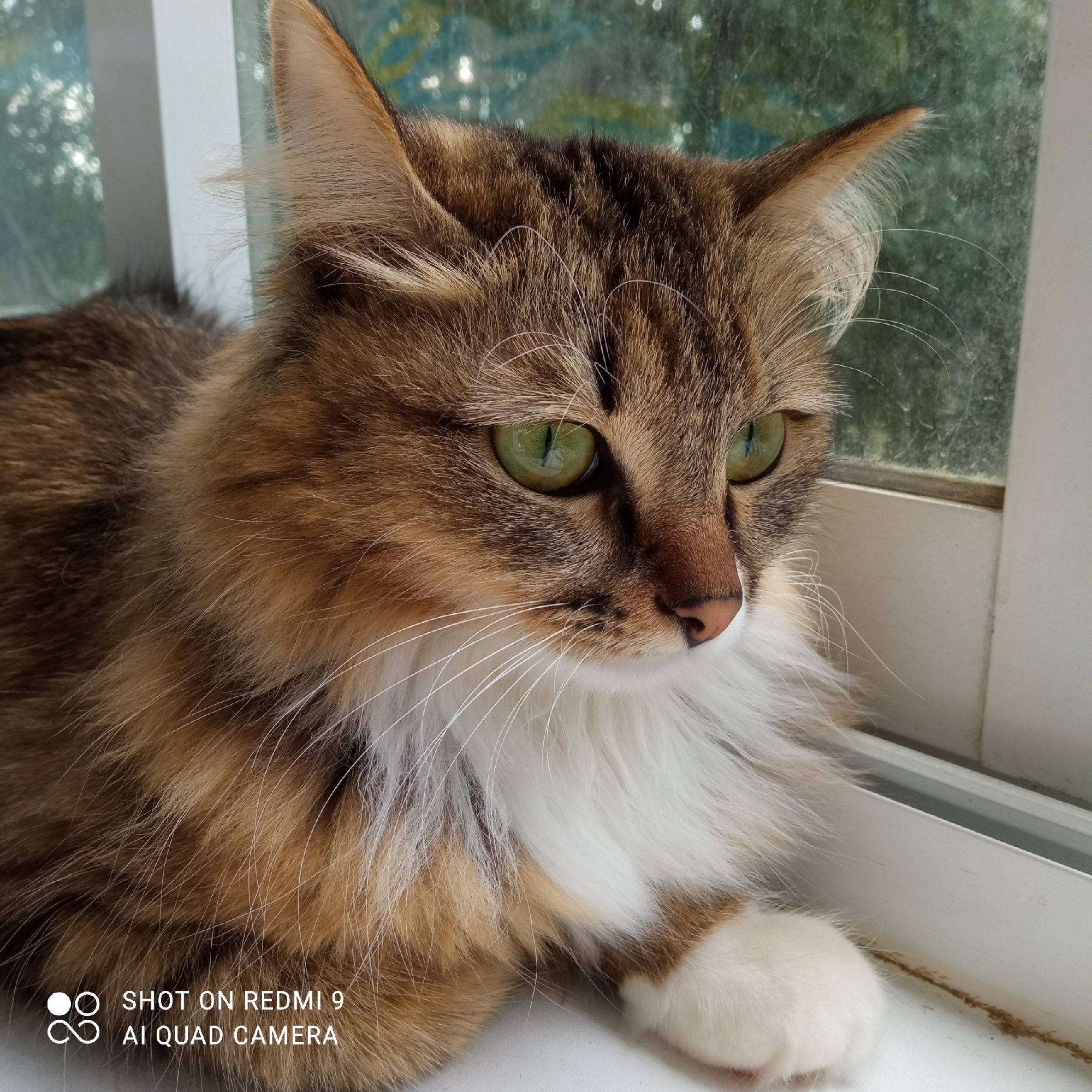 A fluffy calico cat with bright green eyes is resting on a white windowsill. The cat is looking to the right, with its body partially visible. Its fur is a mix of brown, orange, and white. The background appears to be a window with a blurry green and blue pattern, suggesting foliage or a decorated windowpane. The bottom left corner of the image contains a watermark that reads "SHOT ON REDMI 9 AI QUAD CAMERA". There are no people or specific landmarks visible that would indicate a location in Chaikovsky, Russia.