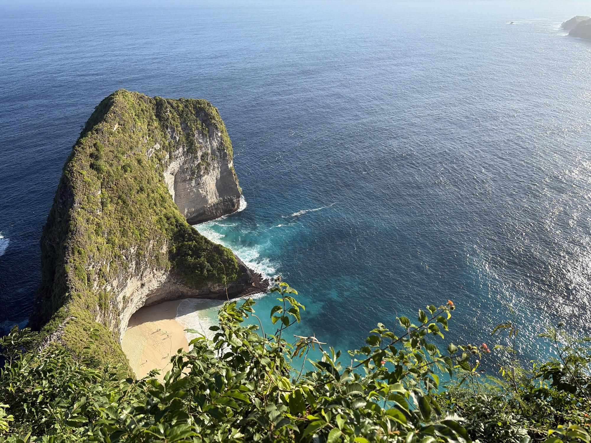 This image, taken from a high vantage point in Nusa Penida, Indonesia, showcases a breathtaking coastal landscape dominated by a dramatic limestone cliff formation jutting into a vast expanse of deep blue ocean. The cliff, known as Kelingking Beach's "T-Rex Head," is covered in lush green vegetation, with its rugged, pale gray rock face exposed in places. A small, crescent-shaped sandy beach is nestled at the base of the cliff, where several tiny human figures can be seen walking along the shore. The turquoise waters surrounding the beach are clear, with white waves crashing against the rocky coastline. In the foreground, the dense foliage of tropical plants partially obstructs the view, adding depth and a sense of being immersed in the natural environment. The sun glints off the surface of the water, creating a shimmering effect. The horizon is a clean line where the ocean meets a pale, hazy sky.