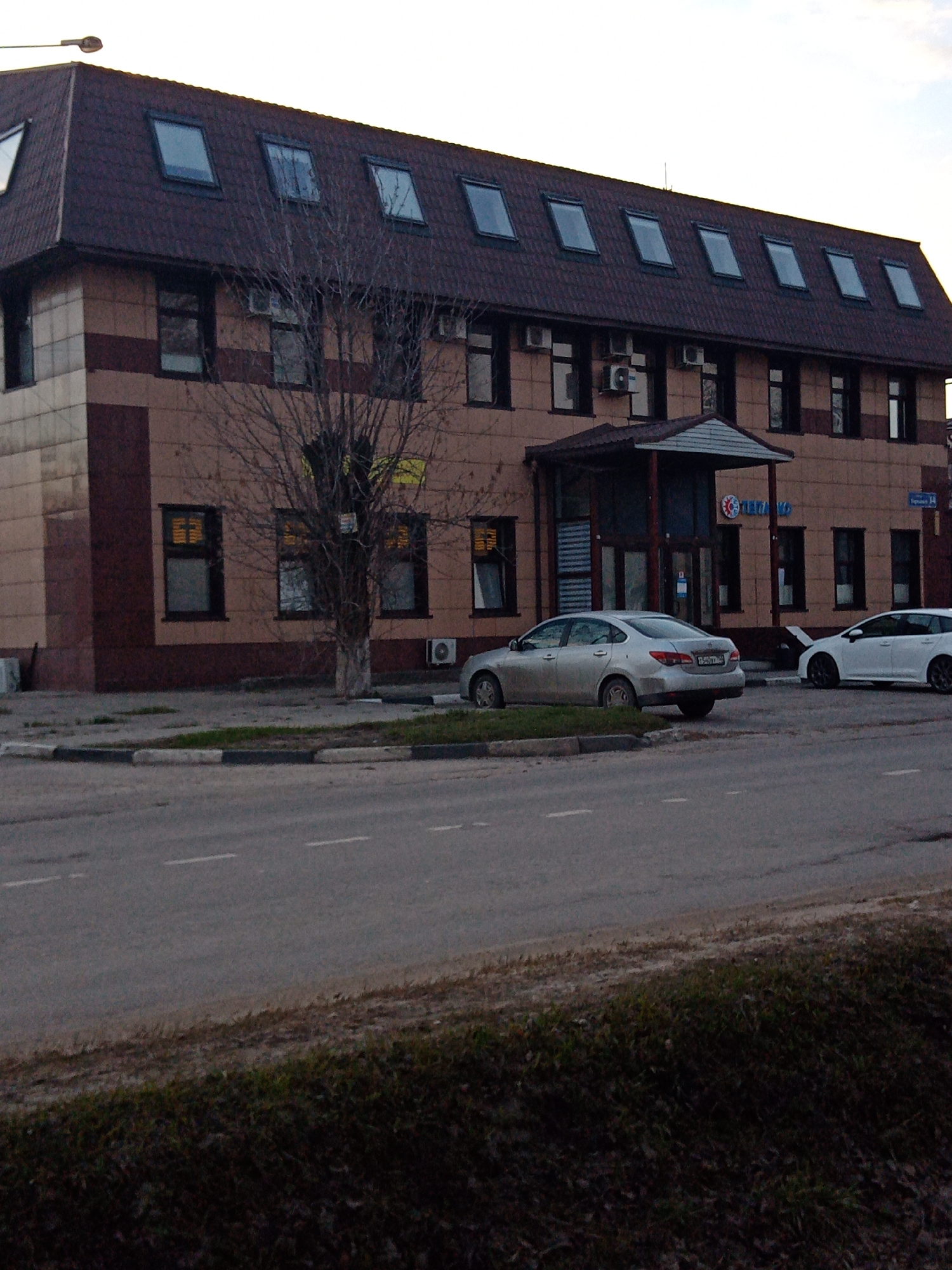 The image depicts a street scene in what appears to be the city of Elektrostal, Russia. The main subject is a three-story building constructed of light brown and dark brown tiles with a brown roof and numerous skylights. The building features several windows and what appears to be a covered entryway with a sign reading "ПЕТРКО" in Russian.
Two cars are parked near the building: a silver sedan (likely a Nissan Tiida) and a white hatchback. A bare tree stands near the sidewalk in front of the building. A street with white lane markers is visible in the foreground, with a patch of dark grass or foliage along the bottom edge of the image. A street lamp is present on the left of the frame. The building and vehicles give the impression of a typical urban environment, most likely in a business area. The street sign "Полошкова 16" is also visible.