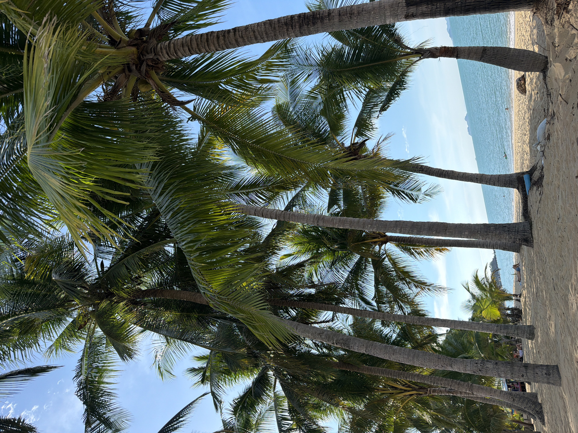 A low-angle perspective shot captures a sun-drenched beach in Baan Tai, Thailand, dominated by a dense cluster of tall, mature coconut palm trees. The trees, with their textured bark and feathery fronds, create a dappled canopy against a clear blue sky dotted with a few wispy clouds. The foreground is a sandy beach, showing footprints and scattered debris including a blue object and some white plastic. In the mid-ground, a serene turquoise ocean stretches to the horizon, where distant islands are faintly visible. Several people are present on the beach: a few individuals are seated or lying down under the shade of the palm trees on the left side of the frame, while a person lies supine on the sand near the ocean on the right. Two people are visible in the water, appearing to swim or float. The overall atmosphere is tranquil and idyllic, characteristic of a tropical beach resort.