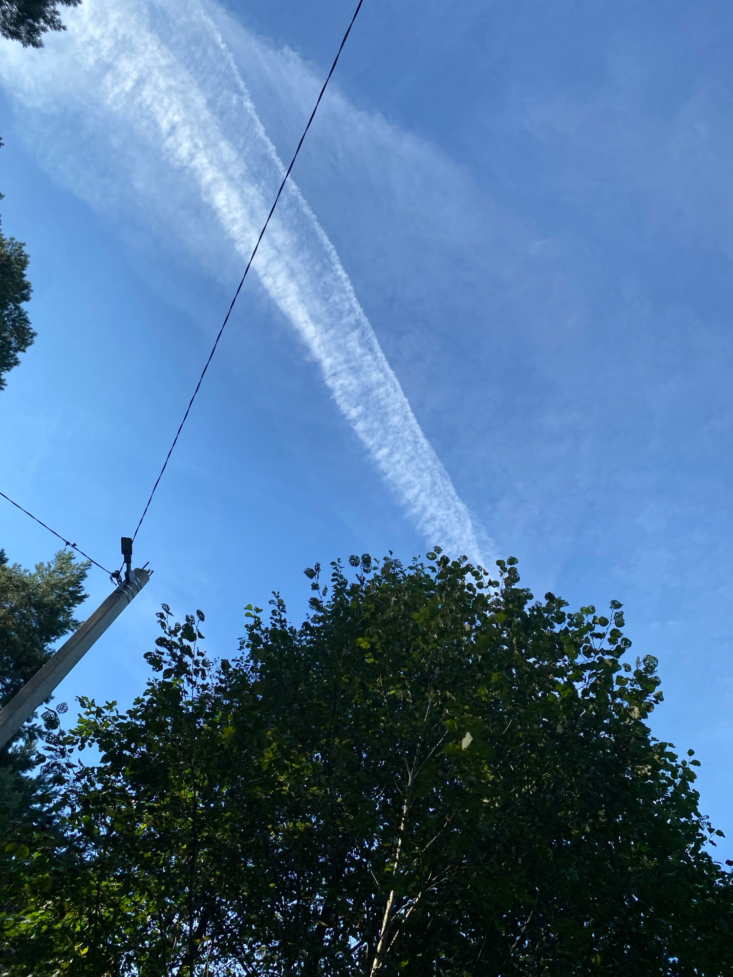 A low-angle shot captures a clear blue sky with wispy white contrails, suggesting the presence of aircraft. A dark power line stretches diagonally across the frame from the upper left to the lower right. A concrete utility pole with attached fixtures stands on the left side, supporting the power line. Lush green foliage from trees fills the lower portion of the image. The scene is devoid of human presence. This image was taken in Votkinsk, Russia.