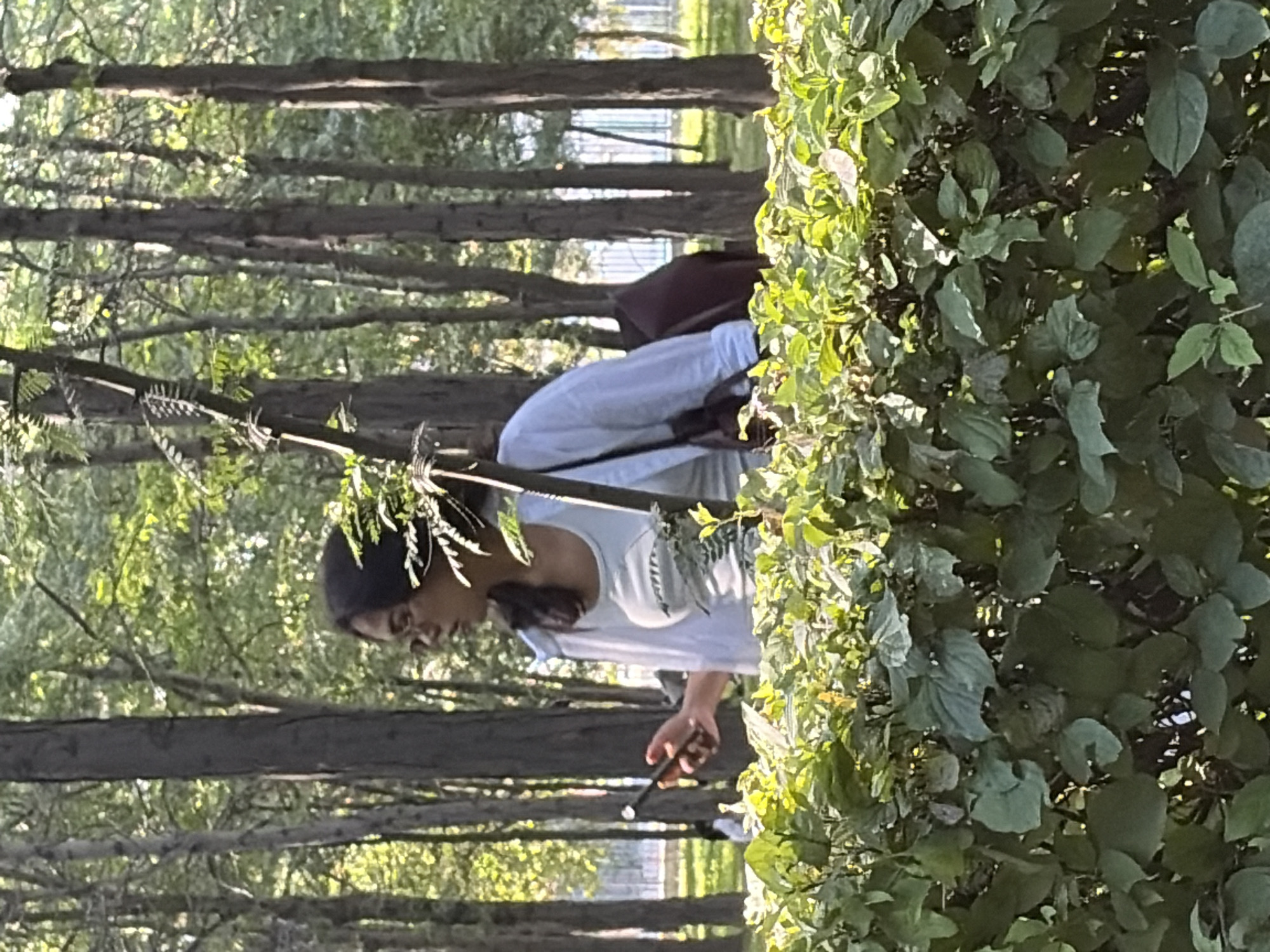 In an outdoor park setting, a young woman with dark hair and glasses is looking to her left while holding a dark-colored smartphone in her right hand. She is wearing a light blue button-down shirt over a light-colored tank top. A dark-colored bag is slung over her left shoulder. She is partially obscured by a dense green hedge in the foreground. Behind her, several tall trees with thin trunks are visible, and the ground appears to be covered in grass. Sunlight filters through the leaves of the trees. A white fence and a glimpse of another person are visible in the background to the left.