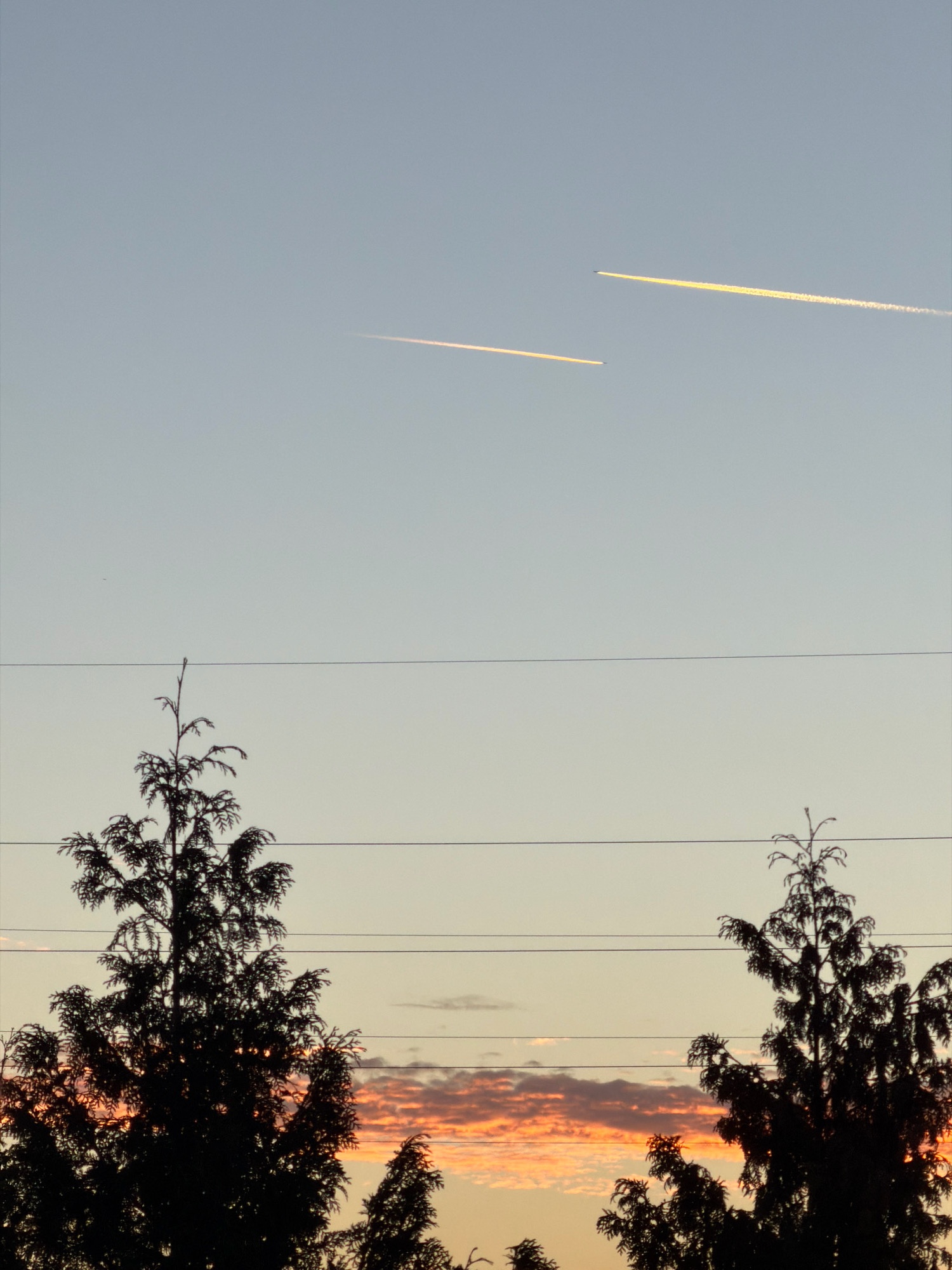 This is a vertical, eye-level, outdoor, full-shot photograph taken at dusk. The sky occupies the upper two-thirds of the frame and is a clear, pale blue. Two contrails from airplanes are visible against the sky, one higher and slightly to the right, appearing as a bright yellow line, and another lower and to the left, a paler white. The lower third of the image is dominated by the dark silhouettes of several evergreen trees, their branches reaching upwards. Between the sky and the trees, three horizontal power lines are strung across the frame. The bottom edge of the sky, where it meets the horizon, exhibits the warm hues of sunset, with streaks of orange and pink clouds visible behind the trees. The scene is devoid of people or any identifiable structures, suggesting a natural or semi-natural setting within or on the outskirts of Esch-sur-Alzette, Luxembourg.
