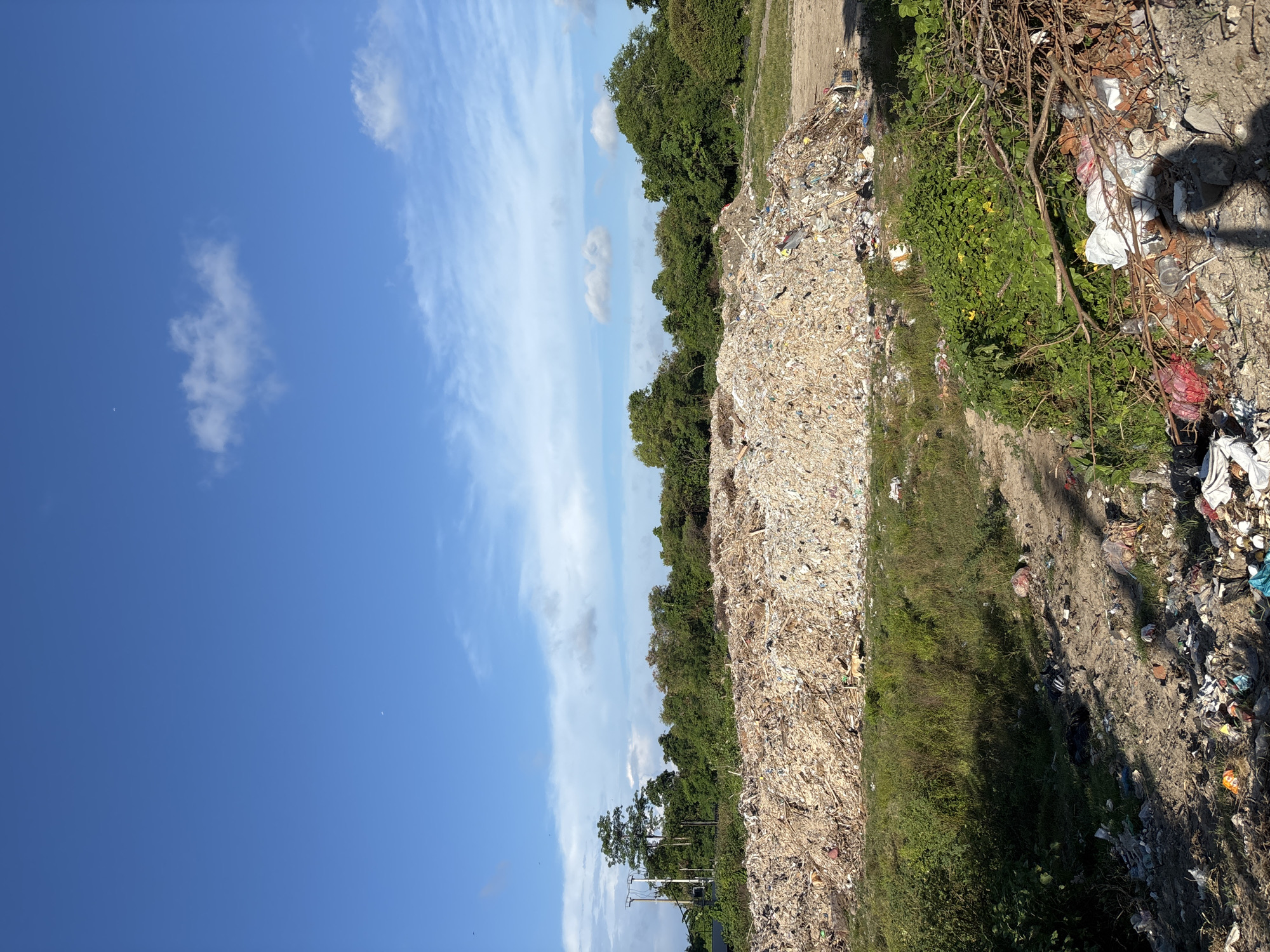 The image captures an extensive outdoor dumping site under a bright blue, mostly clear sky dotted with scattered white clouds. The scene is dominated by a large accumulation of waste.
On the right side of the frame, a significant mound of light-colored debris, resembling wood chips, shredded materials, or construction waste, forms a prominent feature stretching across the midground. To its left, a narrow strip of green vegetation, including grass and some bushes, separates this large pile from another area of discarded materials.
In the immediate foreground, mixed garbage is visible, consisting of plastic bags (white and red), bottles, and various household refuse mixed with dirt and dried branches. Patches of green foliage also grow amidst this foreground debris. Beyond the large waste pile, a line of green trees forms a natural boundary against the sky, suggesting a surrounding landscape. The ground between the waste piles and in the immediate foreground consists of bare earth and dirt paths.
No people or animals are visible, depicting a static scene of environmental degradation. The bright sunlight and clear sky indicate it is daytime, likely morning or afternoon, with fair weather. The overall impression is one of significant pollution and waste accumulation in an open-air setting, characteristic of a landfill or unregulated dumping ground in the Kuta, Indonesia area. No discernible text is visible within the image.