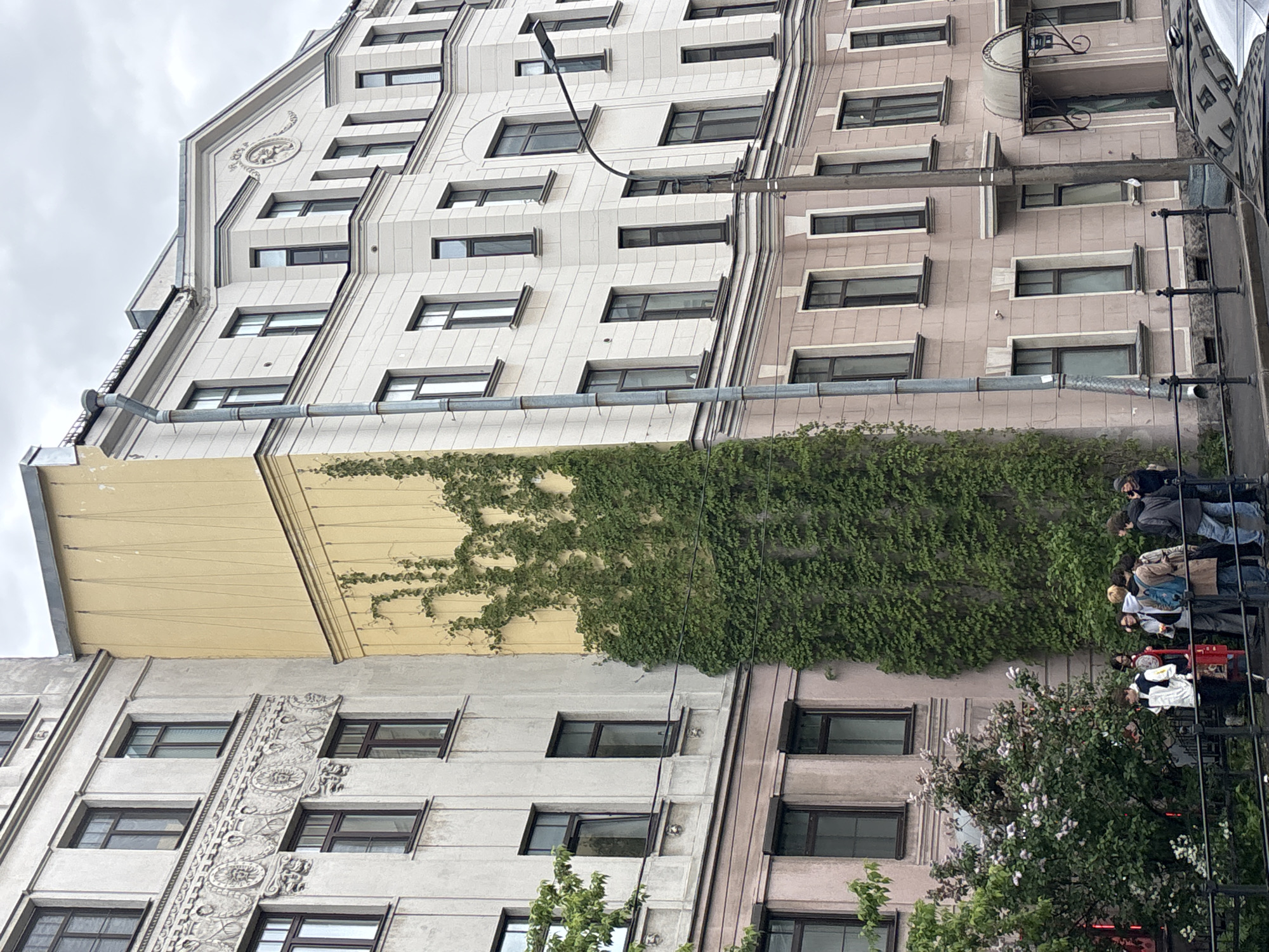 A tall building in St. Petersburg, Russia features a combination of light grey and pink facades with horizontal rectangular windows, each with dark frames. The building has a decorative cornice, classical ornaments and a large area of lush green vines climbing its exterior. The sky above is overcast. The building appears to have more modern, minimalist features. A cherry picker lift is positioned on the right side of the building, a cluster of people are standing in the lift basket.