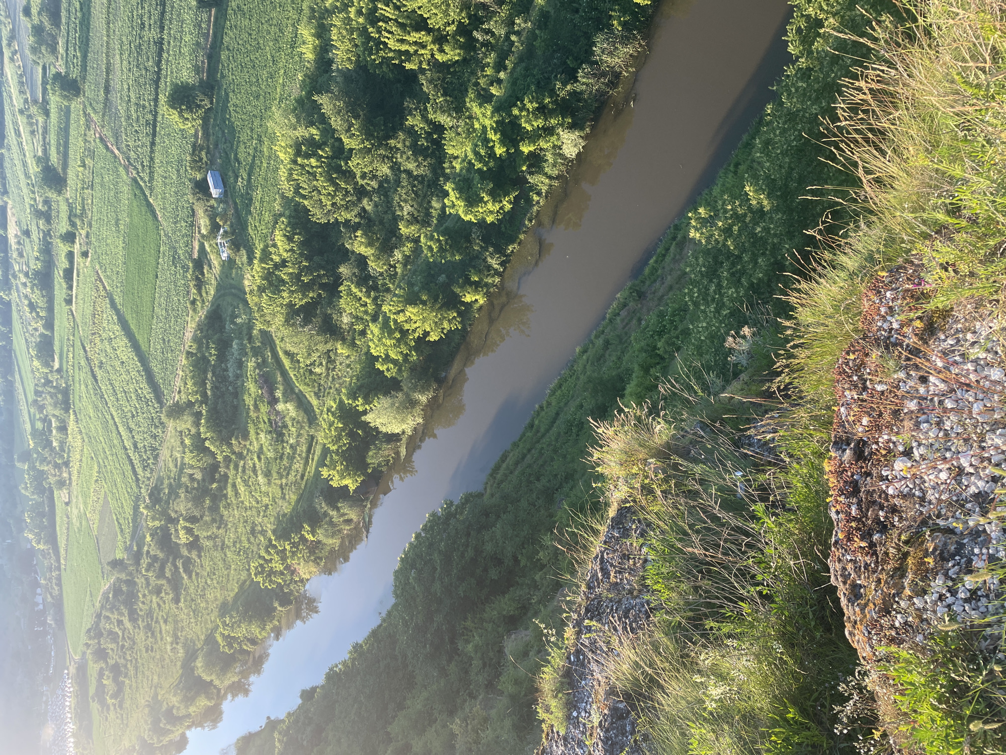 An aerial view shows a meandering river flowing through a valley. On the left bank, a steep, rocky incline is covered with green grass and scattered rocks. The river's dark water reflects the sky and surrounding vegetation. On the right bank, lush green trees line the river, transitioning to cultivated fields in the background. The fields are arranged in geometric patterns, suggesting agricultural use. In the distance, a small cluster of buildings and a blue structure are visible within the fields. The scene is bathed in the warm light of what appears to be early morning or late afternoon sun, casting long shadows. The location is identified as the vicinity of Butuceni, Moldova.