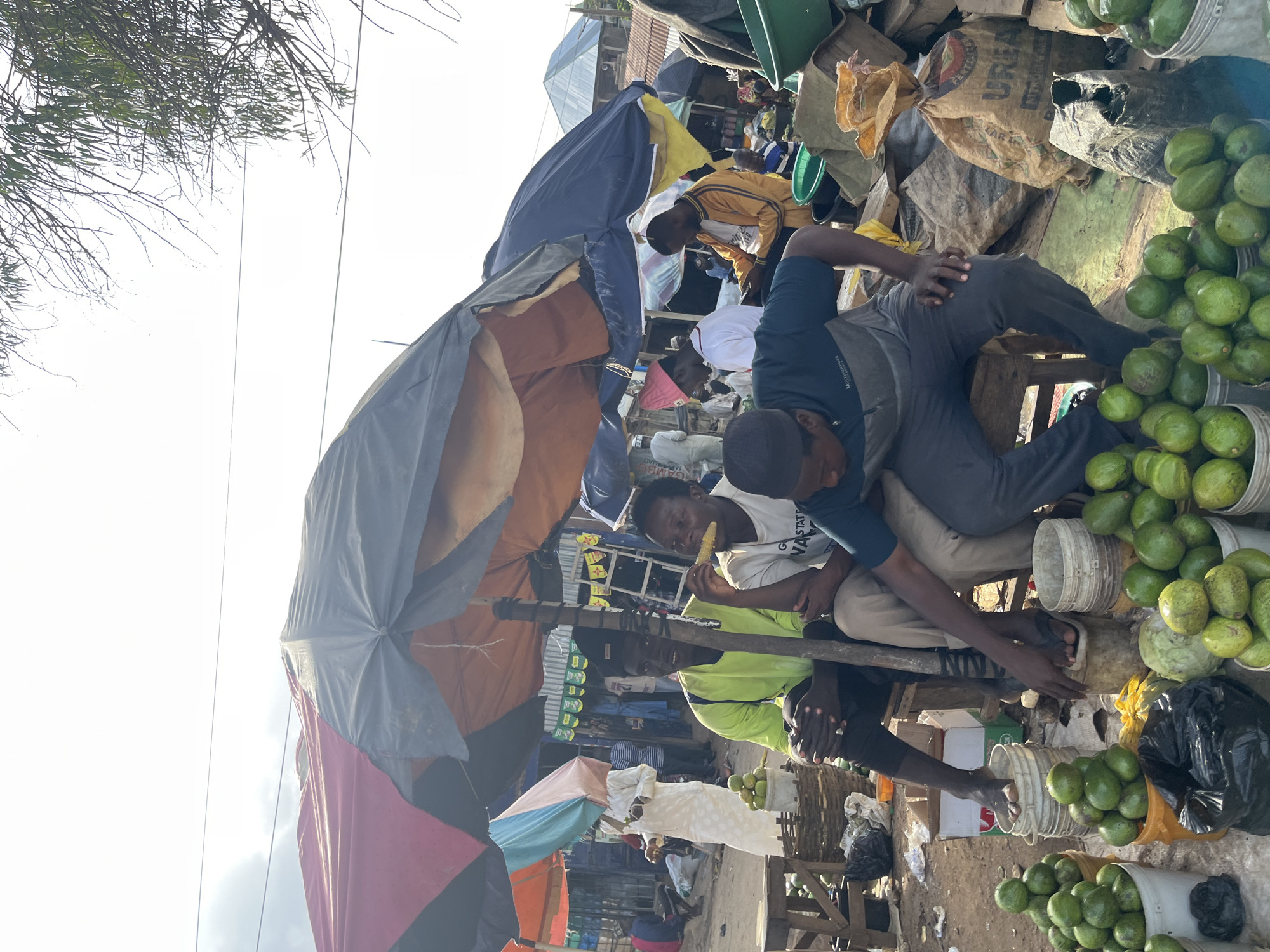 The image captures a bustling market scene in Rafin Par, Nigeria, under a bright, possibly hazy sky. The foreground is dominated by stalls laden with fresh produce, primarily avocados piled high in buckets and baskets. A variety of individuals are present, some seated under makeshift canopies formed by colorful umbrellas and tarpaulins, others standing or walking in the background.
In the mid-ground, three men are seated together. One, wearing a bright lime green long-sleeved shirt, is positioned on the left. Next to him, a man in a white t-shirt is eating corn on the cob. To the right of them, a man in a dark blue t-shirt with grey sleeves is also seated, appearing to be interacting with something in front of him. Their clothing suggests a casual, everyday setting.
Further back, other market-goers are visible, including a person in a white traditional garment, and others browsing or tending to stalls. Various goods, including sacks of what appears to be fertilizer (one labeled "UREA"), are stacked around the market, indicating diverse merchandise. The environment is earthy, with loose soil and debris scattered around the stalls, typical of an open-air market. The presence of umbrellas and the construction of the stalls highlight the practical measures taken to provide shade and shelter from the elements. The overall impression is one of lively commerce and community engagement.