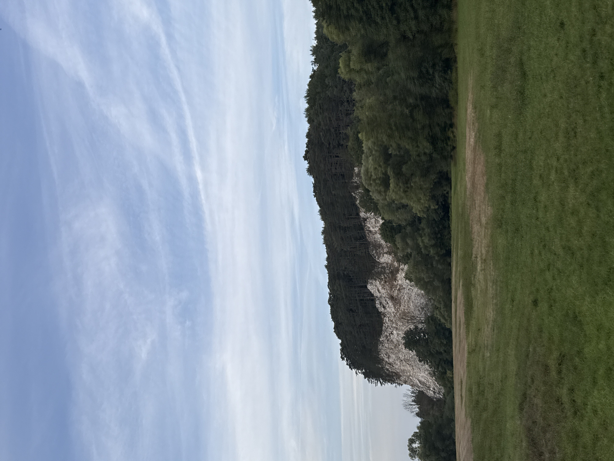 The image shows a landscape scene with a prominent chalk cliff covered in trees. The cliff face is visible, showing its white, rocky texture. A dense forest of dark green trees covers the top of the cliff. Below the cliff, more lush green trees create a natural backdrop. In the foreground, a large field of green grass stretches out, with some patches of drier, yellowed grass visible. The sky above is a pale blue with wispy white clouds. The scene appears to be taken outdoors in natural lighting.
The cliff is part of the Steinkirche rock formation in Bad Sachsa, Germany. The Steinkirche is a geological natural monument known for its chalk rock formations and the forest that grows on top of it. The surrounding area is characterized by hilly terrain and vegetation, consistent with a rural or park-like setting.