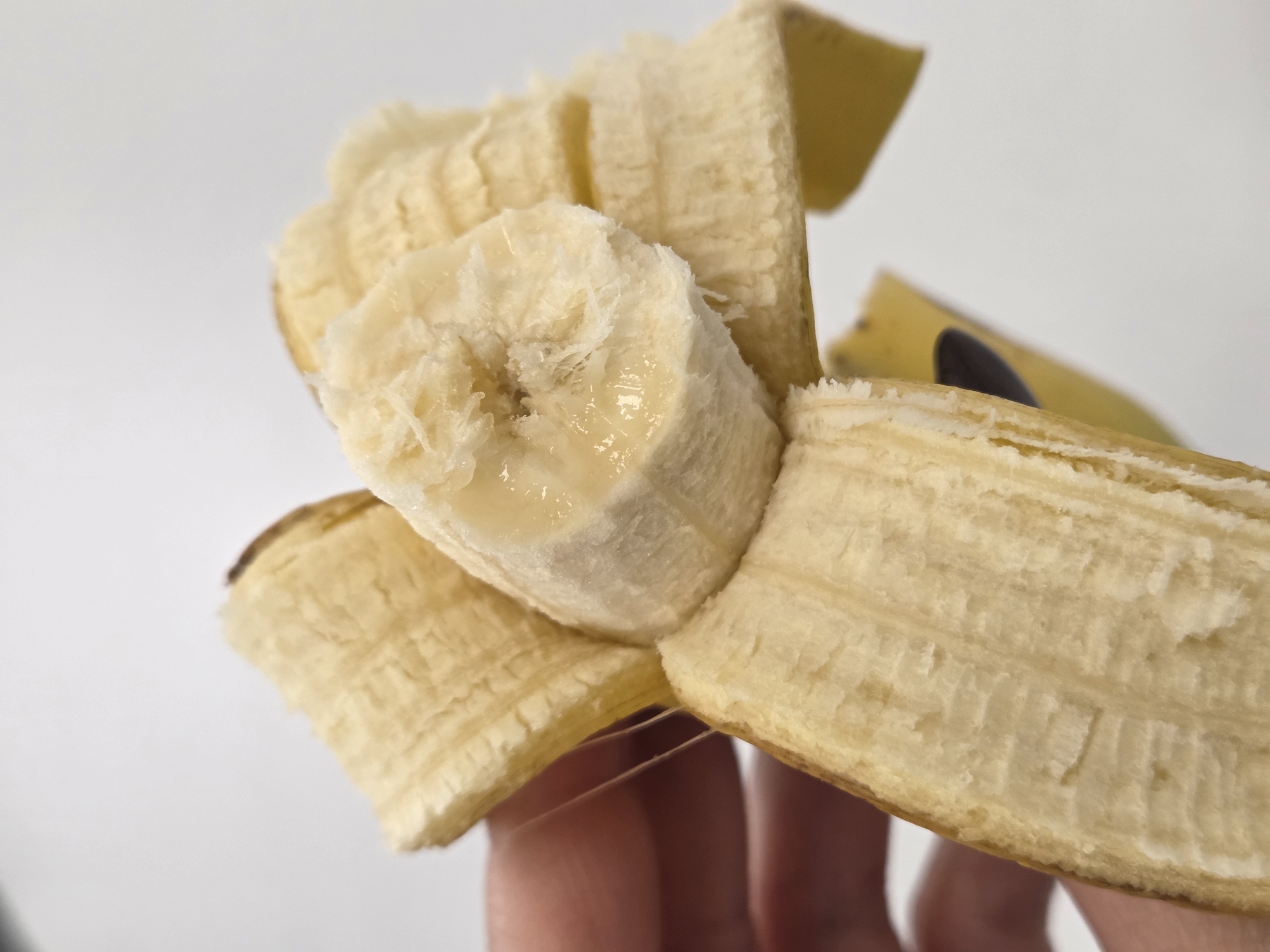A partially peeled banana, cut into sections, is held in someone's hand against a white background. The banana peel is yellow and tan, with brown spots. The banana flesh is white with a glistening liquid on the cut surfaces. One small, black seed is visible. The hand holding the banana appears to be Caucasian. The environment is neutral and provides no identifying information about a specific location, including Varna, Bulgaria.