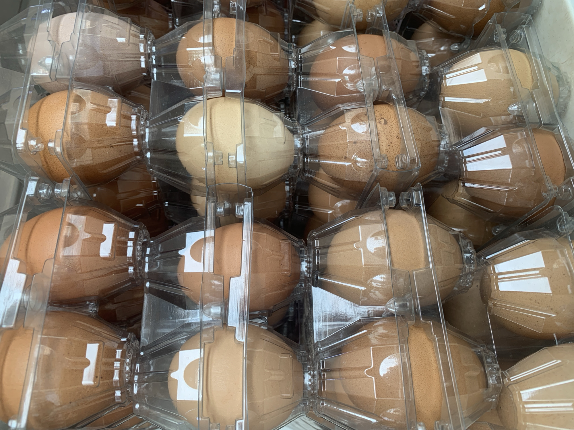 A close-up, high-angle medium shot shows a large stack of brown and beige eggs neatly arranged in clear plastic cartons, filling the frame. The eggs are of varying shades of brown and beige, some appearing speckled. Each egg is housed in its individual molded compartment within the transparent packaging. The cartons are stacked tightly, creating a dense wall of eggs. The lighting is bright, casting reflections on the plastic. The scene appears to be indoors, with no identifiable background elements or environmental context suggesting a specific city or location.