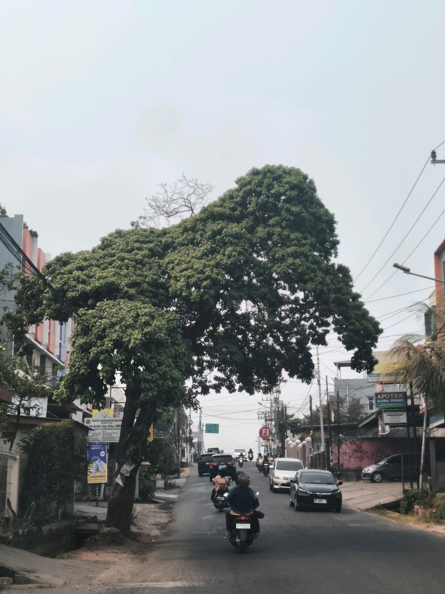 The image depicts a street scene in Palembang, Indonesia, likely during daylight hours with overcast skies. A large, leafy tree with a prominent bare branch extending from its upper section dominates the left side of the frame, casting shadows on the road. The tree's branches spread widely over the street and extend towards the buildings on the left.
Several vehicles are visible on the asphalt road, which appears to be a two-way street. These include a black car in the foreground with license plate "BG 1687 TX", a silver car, several motorcycles with riders, and other cars further down the road. The individuals on the motorcycles are dressed in casual attire, with one rider in the foreground wearing a dark blue garment and a helmet.
Buildings line both sides of the street. On the left, there are multi-story buildings with colorful facades, including shades of pink, grey, and blue. One building displays advertisements and signs, including one for "PRAKTIK KEPERAWATAN MANDIRI" and another for "LAUNDRY SEPATU". On the right side of the street, there are buildings with signs, one of which reads "APOTEK GLOBAL PROMED". Electrical wires are strung across the scene, supported by poles. Palm trees are also visible on the right side of the street. The environment appears to be urban, with the presence of traffic, buildings, and infrastructure.