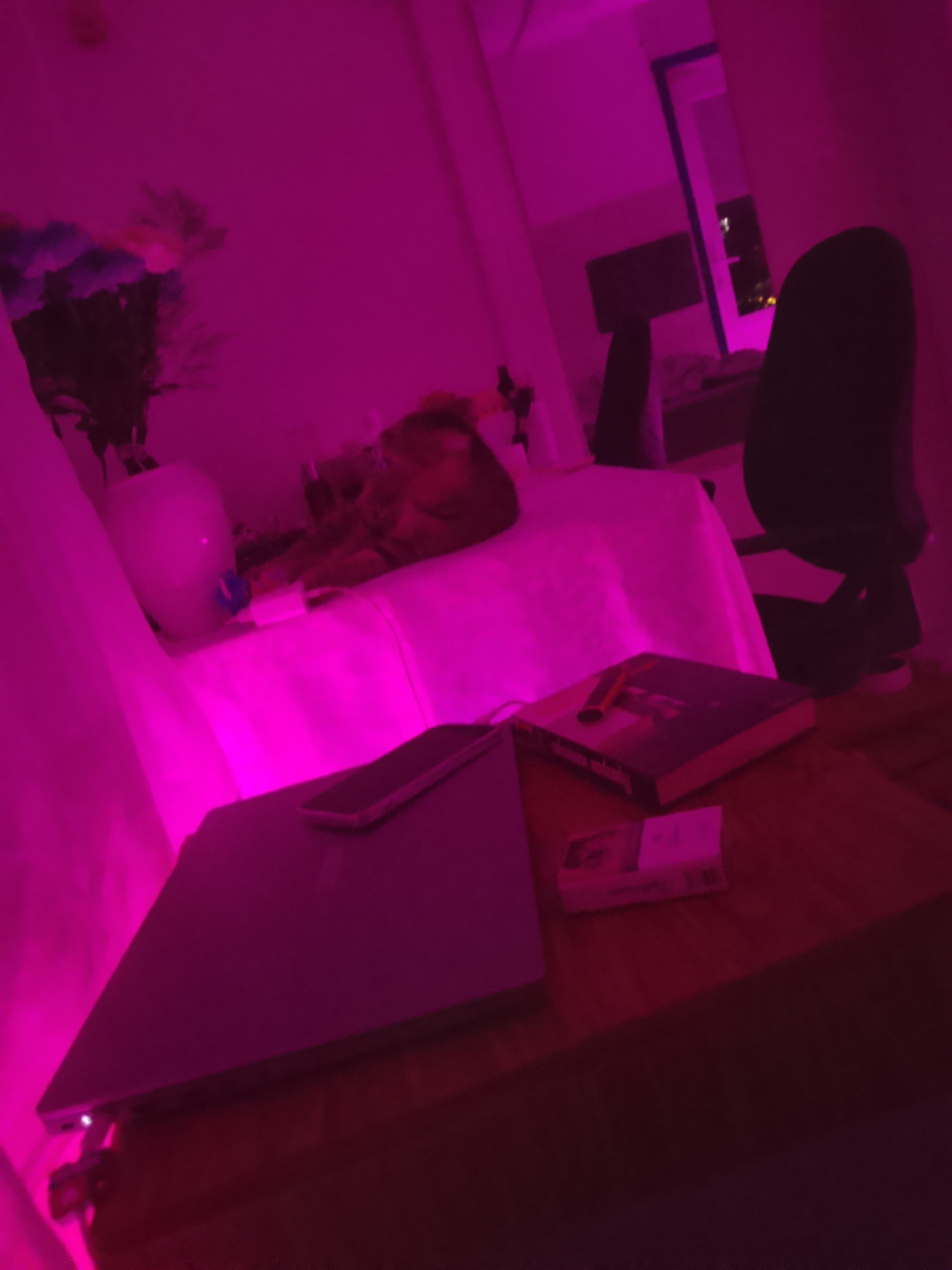 The image depicts a dimly lit room illuminated by vibrant pink lighting. In the foreground, a closed laptop rests on a wooden surface, with a cell phone placed on top of it. To the right of the laptop, a book titled "The Girl on the Train" is visible, with a pen lying across it. A pack of cigarettes is also present on the wooden surface. In the background, a white tablecloth covers a surface, and a vase with flowers stands to the left. A chair is positioned further back in the room. The overall atmosphere suggests a personal living space, possibly a bedroom or study, within a location such as Гуселетово, Russia.