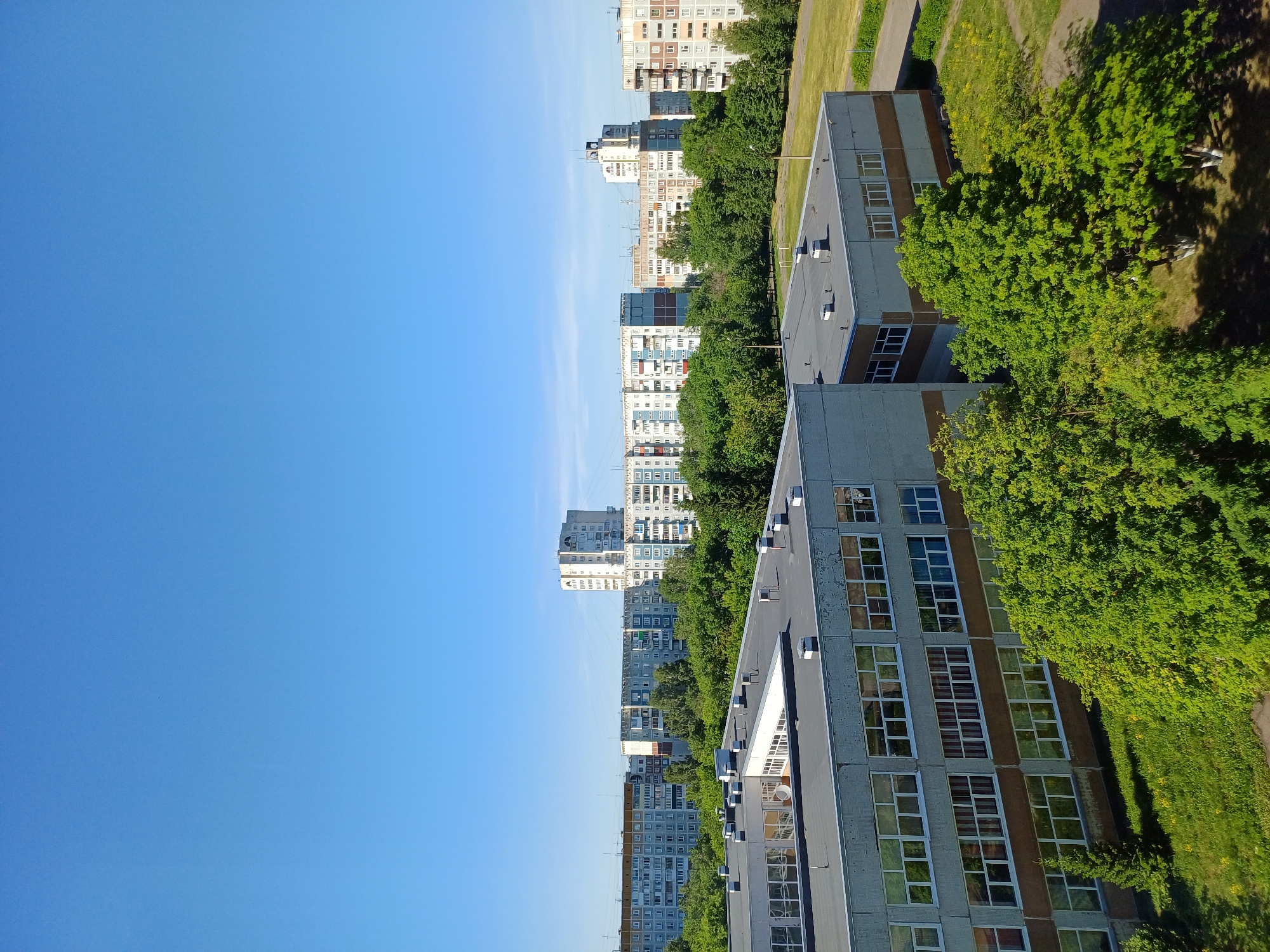 This is a medium-angle, eye-level outdoor shot of a residential area under a clear blue sky. In the foreground, two flat-roofed, low-rise buildings with numerous windows are visible. The building on the left has a light gray facade with brown accents and rows of white-framed windows. The building on the right is similar in construction and color, and it abuts the building on the left. Lush green trees with a few patches of yellow wildflowers grow in front of and between these buildings. Beyond the foreground buildings, a dense canopy of green trees forms a mid-ground. In the background, several multi-story apartment buildings of varying heights and architectural styles are visible, some with balconies and many windows. A small, possibly athletic field is visible to the right of the mid-ground trees. The overall scene depicts a typical urban landscape on a bright, sunny day, likely in a developed residential district.
