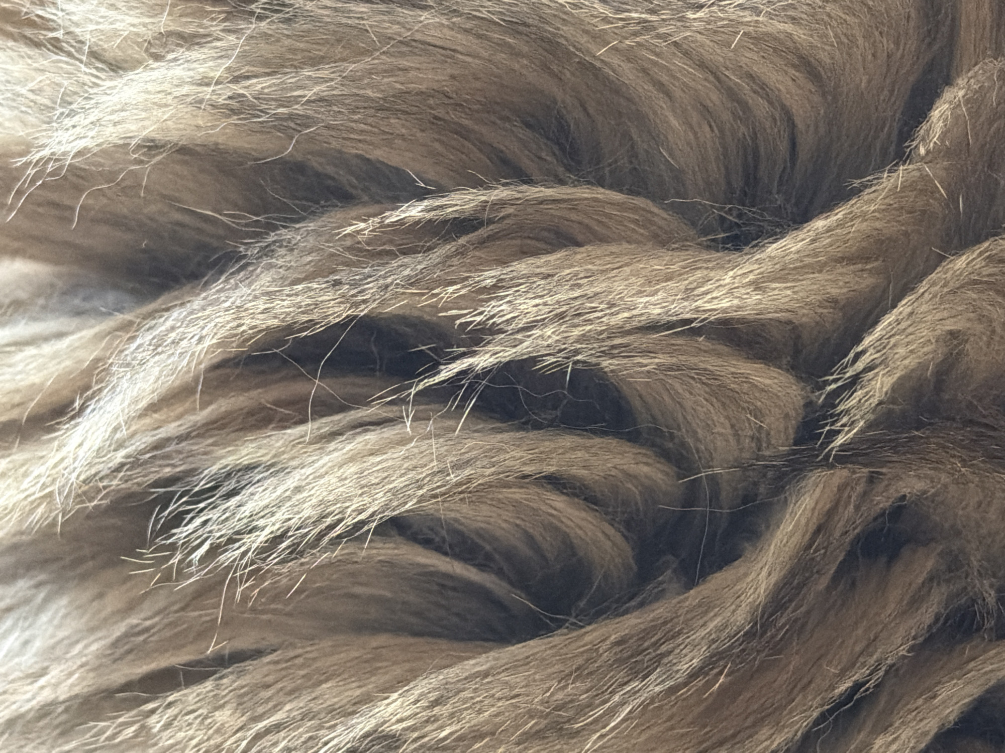 The image shows a close-up of brown fur. Individual strands of fur are visible, with varying shades of light and dark brown. The fur is arranged in layered, curving patterns. There is no indication of any location, person, or object related to Boreti, Montenegro.