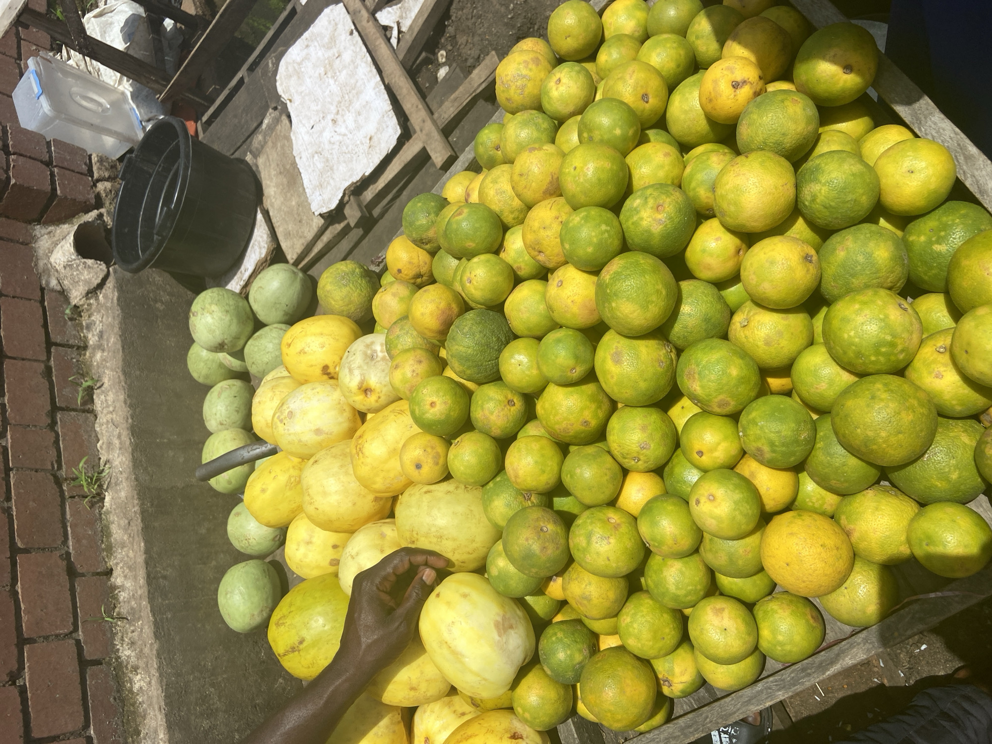 A high-angle shot captures a pile of ripe citrus fruits, predominantly oranges and some yellow fruits that appear to be melons or larger citrus, displayed in a wooden crate. The fruits are a mix of vibrant green and yellow, suggesting a sunny environment. The scene is set outdoors, with visible brickwork and concrete in the foreground, hinting at a market or roadside stall setting. A black plastic tub sits to the left of the crate, alongside a clear plastic container. A person's dark-skinned hand is visible in the lower center of the frame, gently touching one of the yellow fruits, suggesting the fruits are being handled or displayed for sale. The lighting indicates it is daytime, with bright sunlight casting shadows. The overall impression is one of a fresh produce display, likely in a bustling outdoor market environment in Jos, Nigeria. There is no visible text in the image.