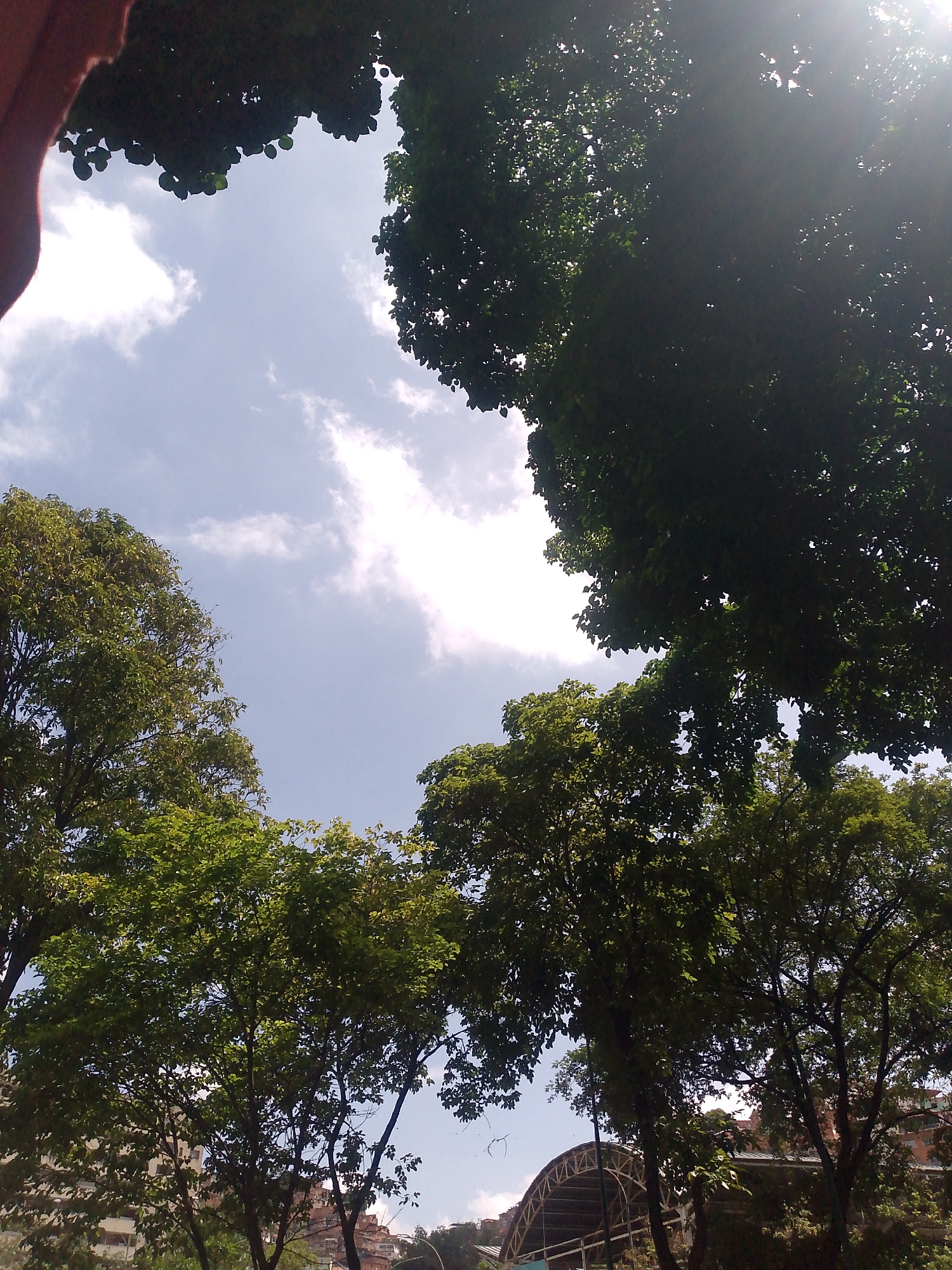 The image shows a view looking up through trees towards the sky. The sky is blue with scattered white clouds. The trees have green leaves and some are silhouetted against the bright sky. In the lower part of the image, a structure with an arched roof is visible. Based on the architecture, the location appears to be Caracas, Venezuela, potentially near a park or green space given the presence of trees and the sky. However, no people are visible, and specific interactions or actions cannot be determined.