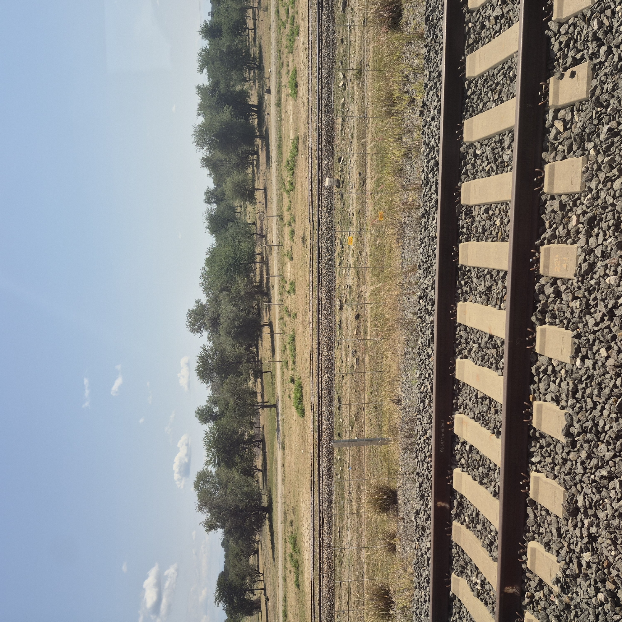 The image captures a clear, sunny day in Mkata Stat, Tanzania, with a focus on a set of parallel train tracks. The foreground is dominated by the gravel ballast and concrete sleepers of the tracks, with two sets of rails visible. Beyond the tracks, a dry, grassy field stretches out, dotted with low-lying vegetation. A wire fence with metal posts runs parallel to the tracks in the mid-ground. Further back, a line of trees forms a dense canopy against the horizon, with more sparse vegetation and a dusty path visible between the fence and the trees. The sky is a bright, pale blue with a few scattered white clouds. The scene appears tranquil and devoid of human presence or activity.