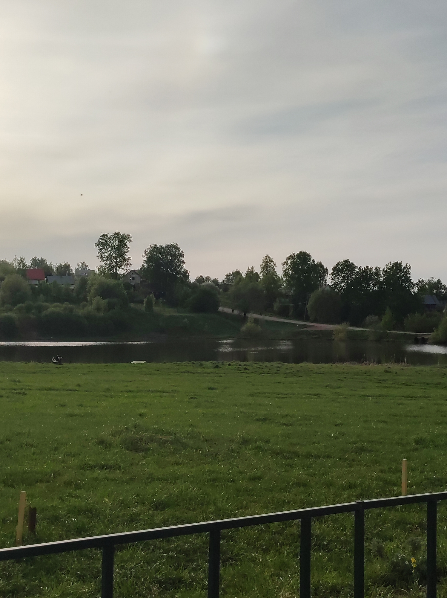 The image depicts a grassy field bordered by a body of water. The field is a vibrant green and appears well-maintained. Beyond the water, there's a line of trees and vegetation, with hints of houses and buildings nestled among them. The sky is overcast, providing a soft, diffused light. In the foreground, there's a section of a metal railing, partially obstructing the view.