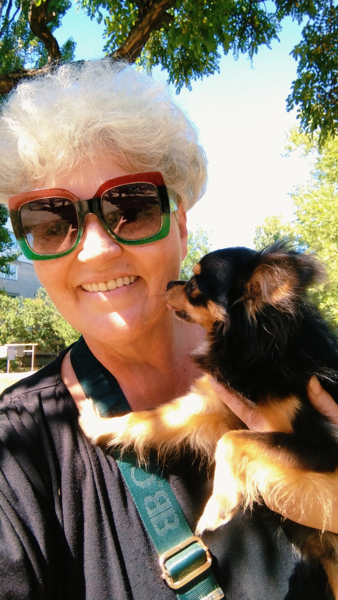 A medium shot shows a woman with white, permed hair wearing large, square, green-rimmed sunglasses and a black shirt. She is holding a small black and tan dog, which is licking her face. A green strap with gold hardware crosses her chest. The background shows a tree with green leaves against a bright blue sky, with glimpses of buildings and more trees in the distance. The scene appears to be outdoors on a sunny day, likely in a park or residential area within the city of Horishni Plavni, Ukraine. The lighting suggests it is daytime.