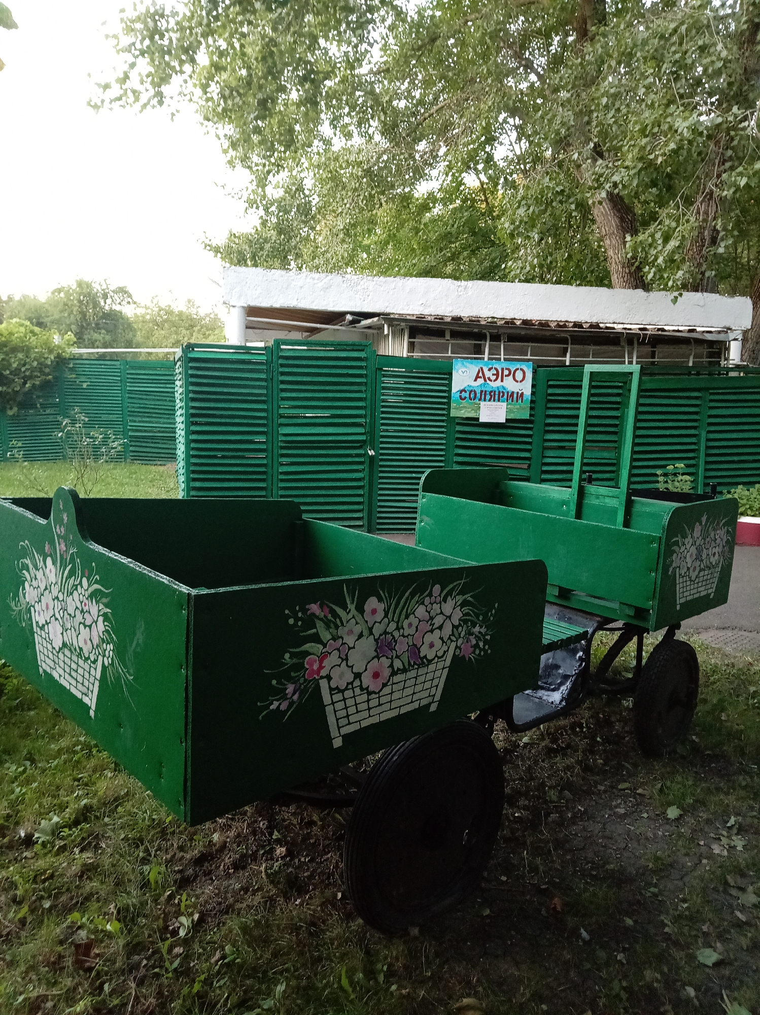 An outdoor scene in Essentuki, Russia, features two green, wheeled carts, possibly for gardening or decoration, in the foreground. The carts are adorned with hand-painted floral designs in white, pink, and purple, depicted within white baskets. The larger cart is closer to the viewer and appears empty. Behind the carts, a series of slatted green gates stretches across the frame. A low white building with a textured roof is visible above the gates. In the background, lush green trees with full foliage create a natural backdrop. A small sign is affixed to the gates, displaying the Russian text "АЭРО СОЛЯРИЙ" (Aero Solarium) in red and blue letters, along with a small circular logo. The ground is covered with grass and some scattered leaves, indicating an outdoor, possibly park-like or garden setting. The lighting suggests it is daytime, with soft light filtering through the trees.