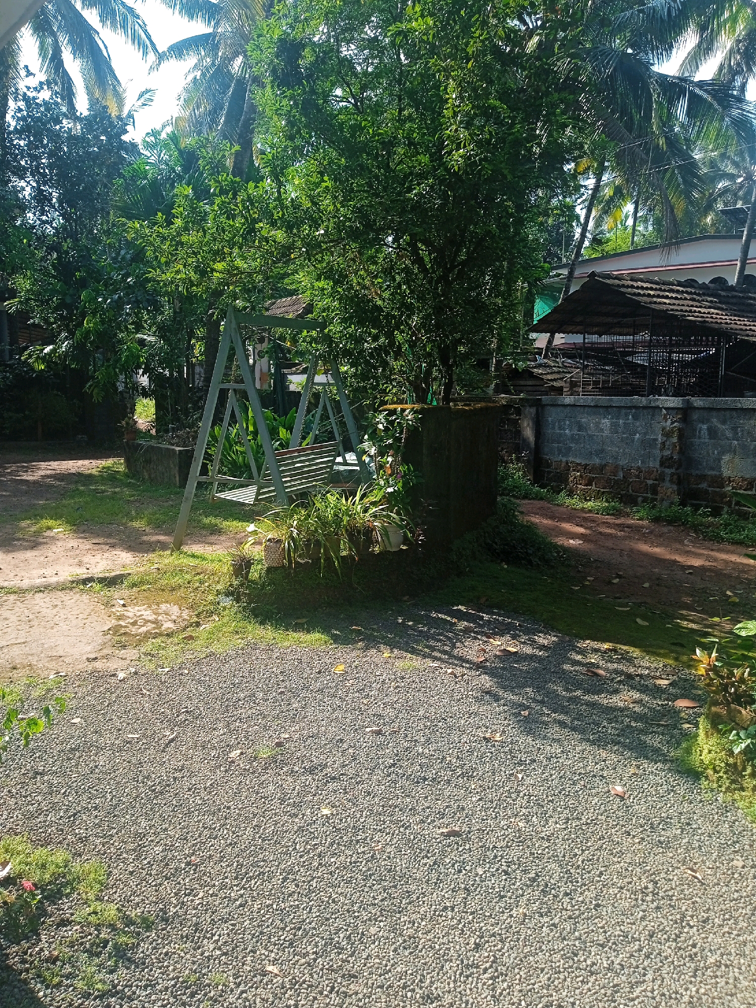 The image shows an outdoor scene with lush green trees and foliage, indicative of a tropical climate, likely in Thotasseriyara, India. In the foreground, a gravel pathway leads towards a grassy area with a wet patch of ground. A metal swing set with a wooden seat stands prominently in the middle ground, surrounded by potted plants. Behind the swing, a low stone wall forms a boundary, with a tiled-roof structure partially visible beyond it. The background features more dense vegetation and palm trees, suggesting a rural or semi-rural setting. Sunlight filters through the leaves, casting shadows on the ground. There are no people or animals visible in the image.
