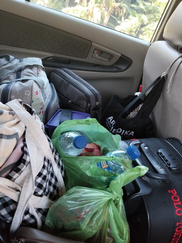 The interior of a car is packed with luggage. A grey patterned duffel bag sits atop another bag with a white and black checkered pattern. Nearby is a grey zippered bag and a purple container. Three green plastic bags, filled with bottled water and food, are positioned in front of a black tote bag and a black suitcase labeled "POLO TOKYO". The car's interior paneling and a partial view of the outside greenery are visible in the background.