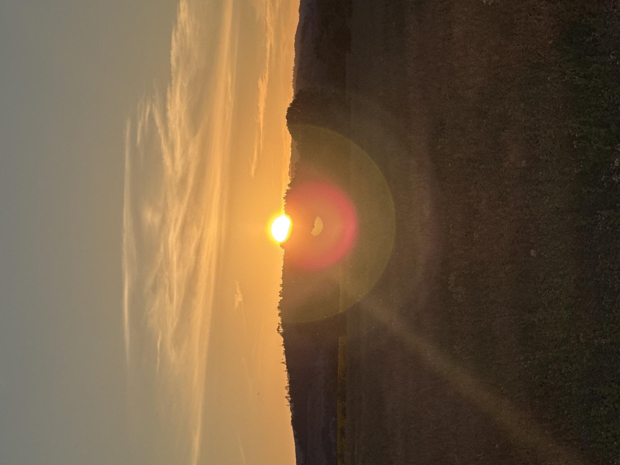 A vertical, wide shot captures a serene sunset over a grassy field in Noevtsi, Bulgaria. The sun, a bright, almost white orb, is positioned slightly to the left of center in the middle ground, casting a warm, golden glow across the sky. Thin, wispy clouds stretch horizontally across the upper portion of the frame, painted in hues of orange and yellow. A faint lens flare, appearing as a red and pink halo with a heart-shaped shadow, emanates from the sun, slightly obscuring the distant horizon.
The middle ground is dominated by a rolling hill, silhouetted against the vibrant sky. The crest of the hill is dotted with a line of trees, their dark forms standing starkly against the brightness. The foreground features a vast, dark field of grass, sparsely populated with small, indistinct flowers or weeds. The light from the setting sun creates a subtle gradient, with the field appearing darker towards the bottom of the frame and lighter where it catches the sun's rays, which streak diagonally from the lower left. The overall atmosphere is peaceful and tranquil, with no people or specific man-made objects visible, suggesting a natural, rural landscape.