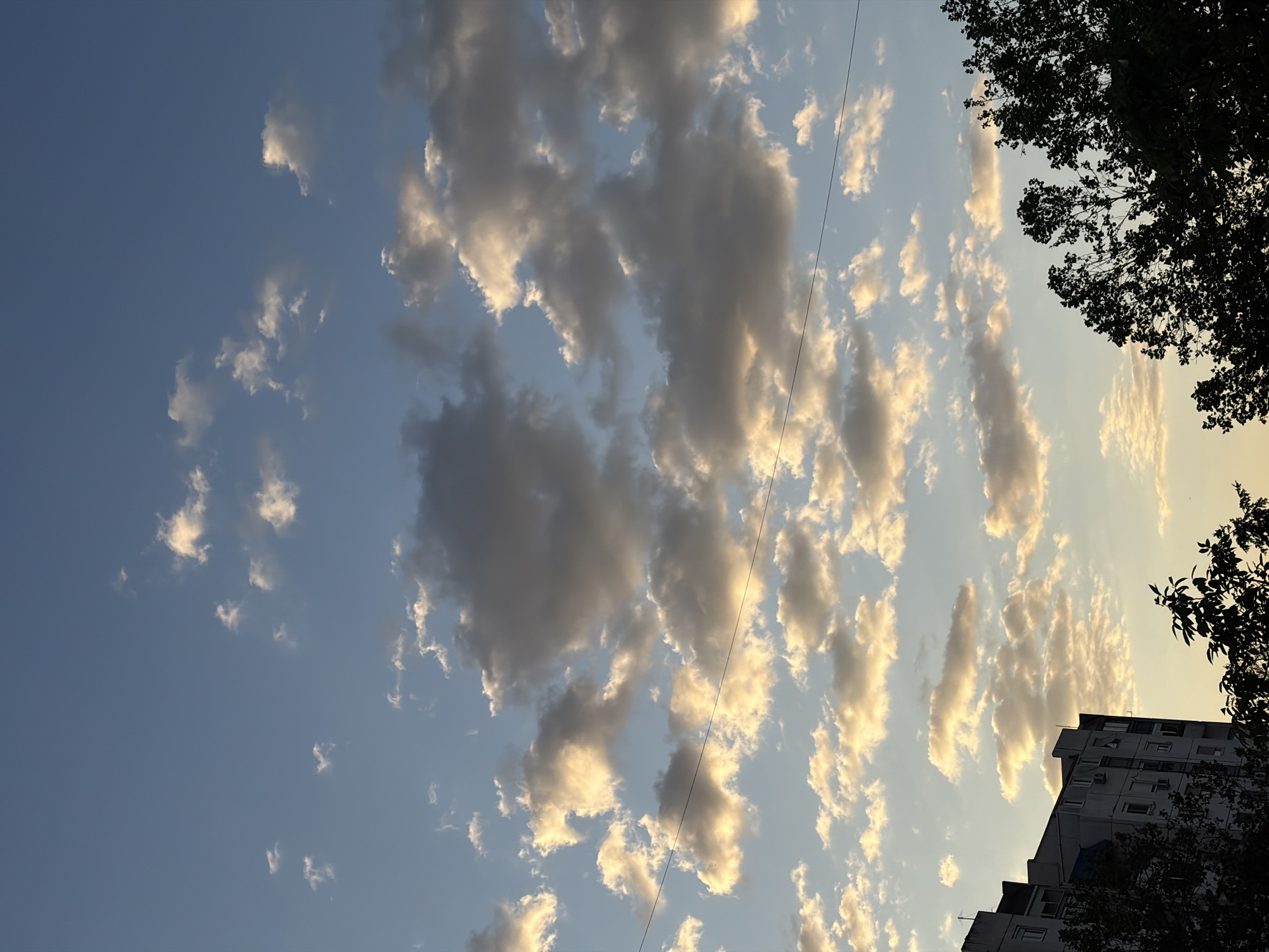 The original image, rotated 90 degrees counter-clockwise, presents an urban sky scene at either sunrise or sunset, with the provided context indicating Belgrade, Serbia. The sky transitions from a deep blue on the left to a lighter, warm yellowish-orange on the right, characteristic of low-angle sunlight.
Numerous cumulus clouds fill the sky. These clouds exhibit striking contrast, with their edges and upper portions brightly illuminated by golden and white light, while their undersides and shaded parts appear darker grey. Some clouds are scattered, appearing wispy, particularly in the bluer section of the sky, while others form larger, more concentrated masses towards the center and right.
In the upper and lower right corners, dark silhouettes of dense tree foliage are visible, partially framing the sky. Below these trees in the lower right, a multi-story building, likely an apartment complex, is also seen in dark silhouette against the brighter sky. Details such as windows and air conditioning units are faintly visible on its facade. A thin, dark power line or utility cable stretches diagonally across the central sky from the upper left towards the lower right.
The image captures a peaceful moment in an urban environment, highlighting the natural beauty of the sky and clouds against man-made structures and vegetation. There is no visible text in the image.