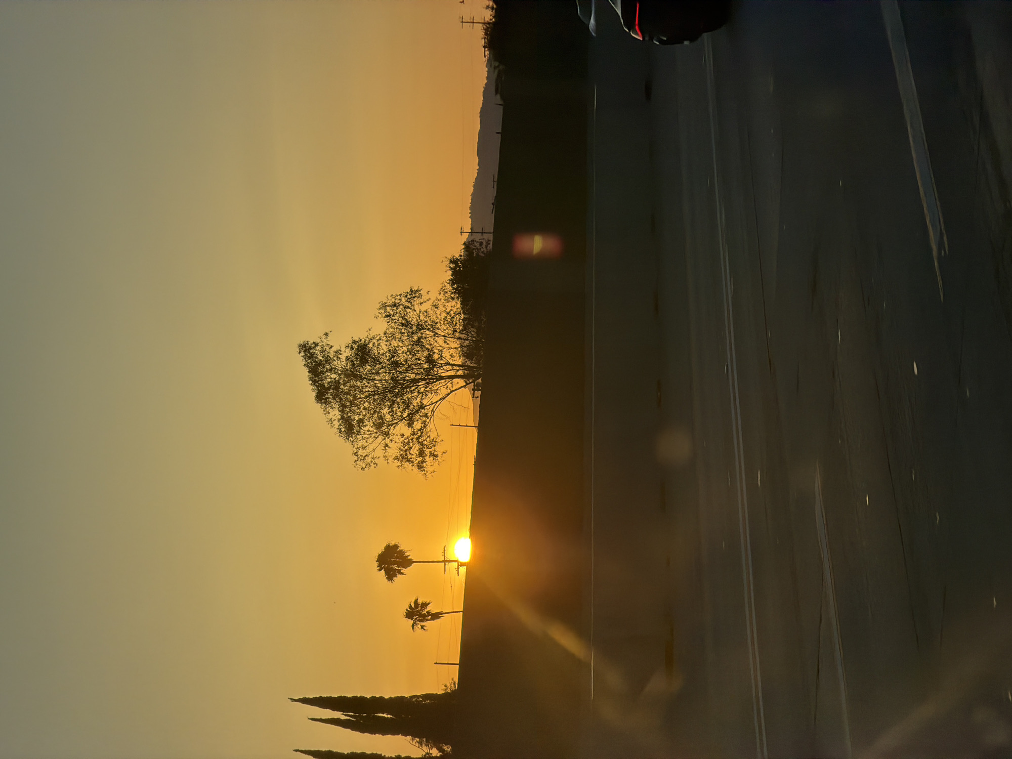 The image captures a sunset scene. A road runs diagonally across the frame, with a car partially visible at the top right. The setting sun is positioned between two palm trees and a power pole, casting a bright glare. Additional trees line the landscape. The city of Los Angeles, United States of America, is not apparent from the image.