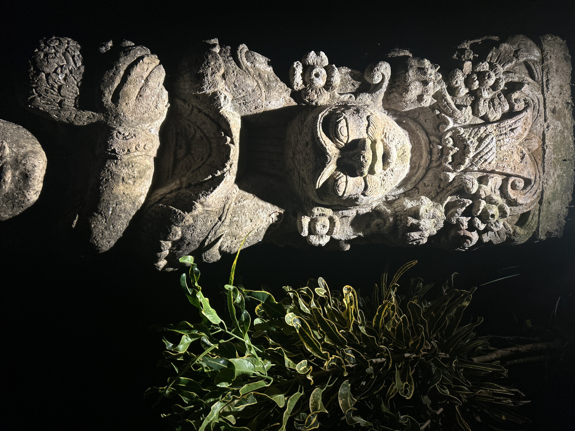 A close-up, low-angle shot captures a stone carving illuminated in darkness, possibly at night. The carving, grey and weathered, appears to be a horizontal beam or part of a wall with a central, stylized face flanked by floral and other decorative elements. The face has prominent eyes, nose, and mouth. The carving shows significant detail and relief, suggesting age.
At the base of the carving, some green plants with broad leaves are visible, adding a natural element. The darkness surrounding the carving and plants emphasizes the texture of the stone and the forms of the leaves.
The location is Kediri, Indonesia.