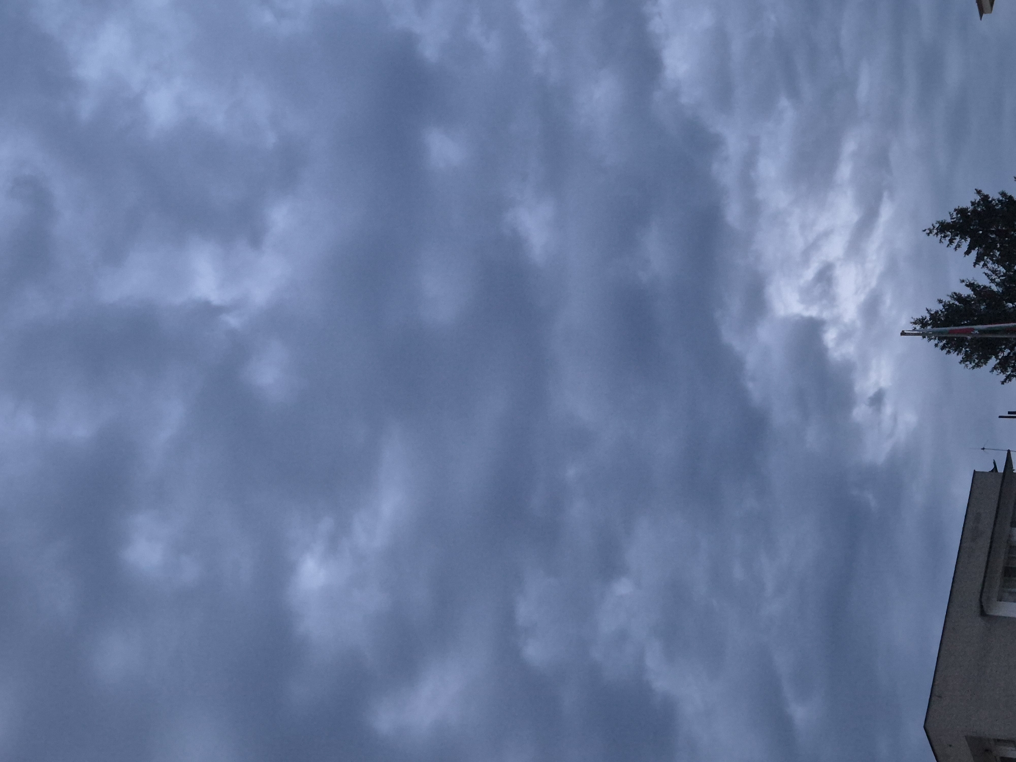 The image shows an overcast sky with dark, swirling clouds filling the frame. At the bottom right corner of the image, the corner of a light-colored building is visible, with a window frame. A tall, dark tree is partially visible above the building, and a pole extends from the tree's vicinity. The image seems to be taken from a low angle, looking upwards. No people are visible in the image. The location is in the city of Pavlikeni, Bulgaria.
