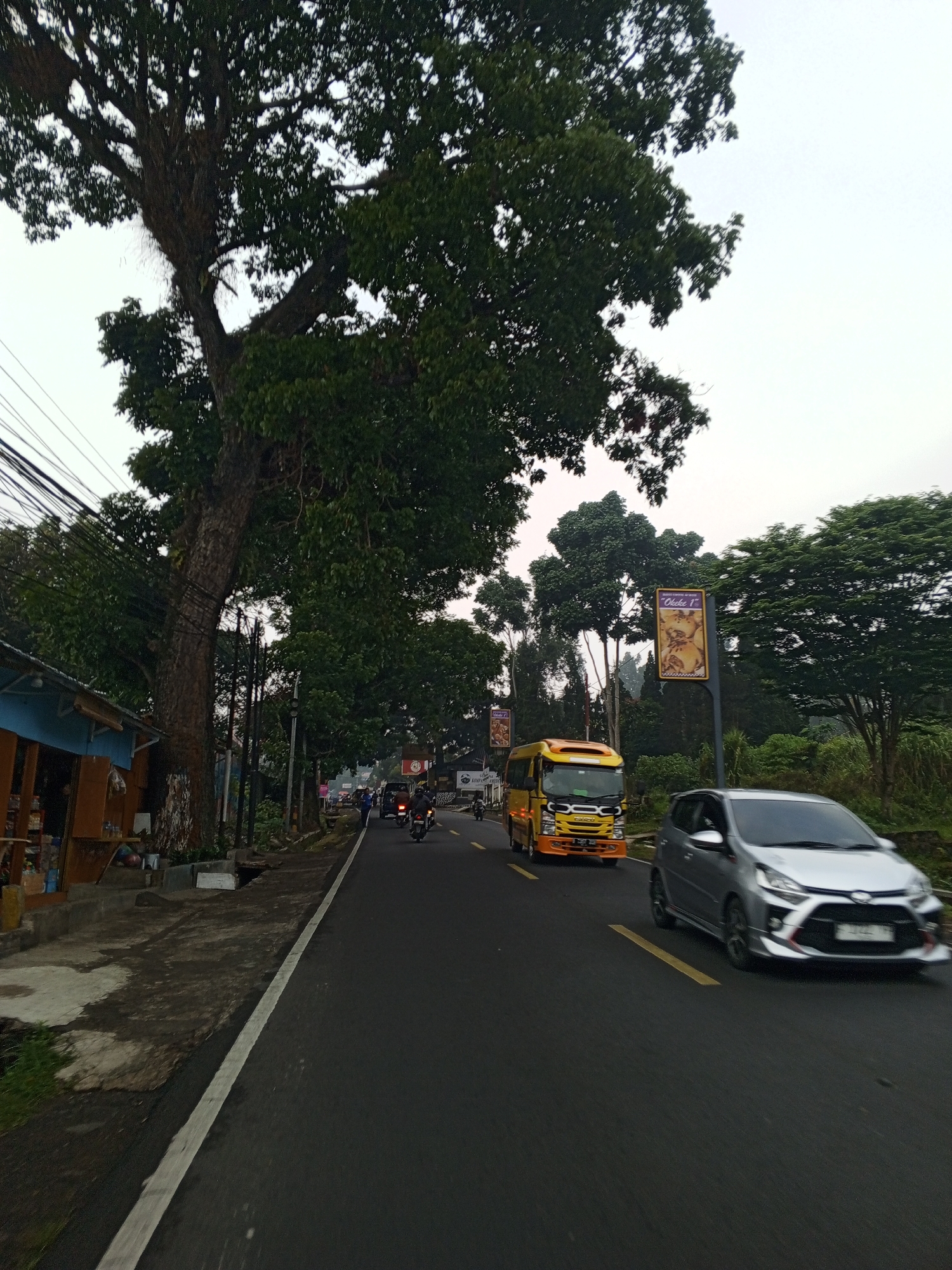 This image captures a street scene in the city of Dambulla, Sri Lanka. The foreground shows a paved road with a white and yellow line. A silver car is in motion on the right side of the road. Further ahead, a yellow bus is also traveling. On the left side of the road, there is a sidewalk and a small roadside structure with blue siding. A very large tree with dense green foliage dominates the left side of the image. In the background, there are more trees and utility poles. The sky is overcast.